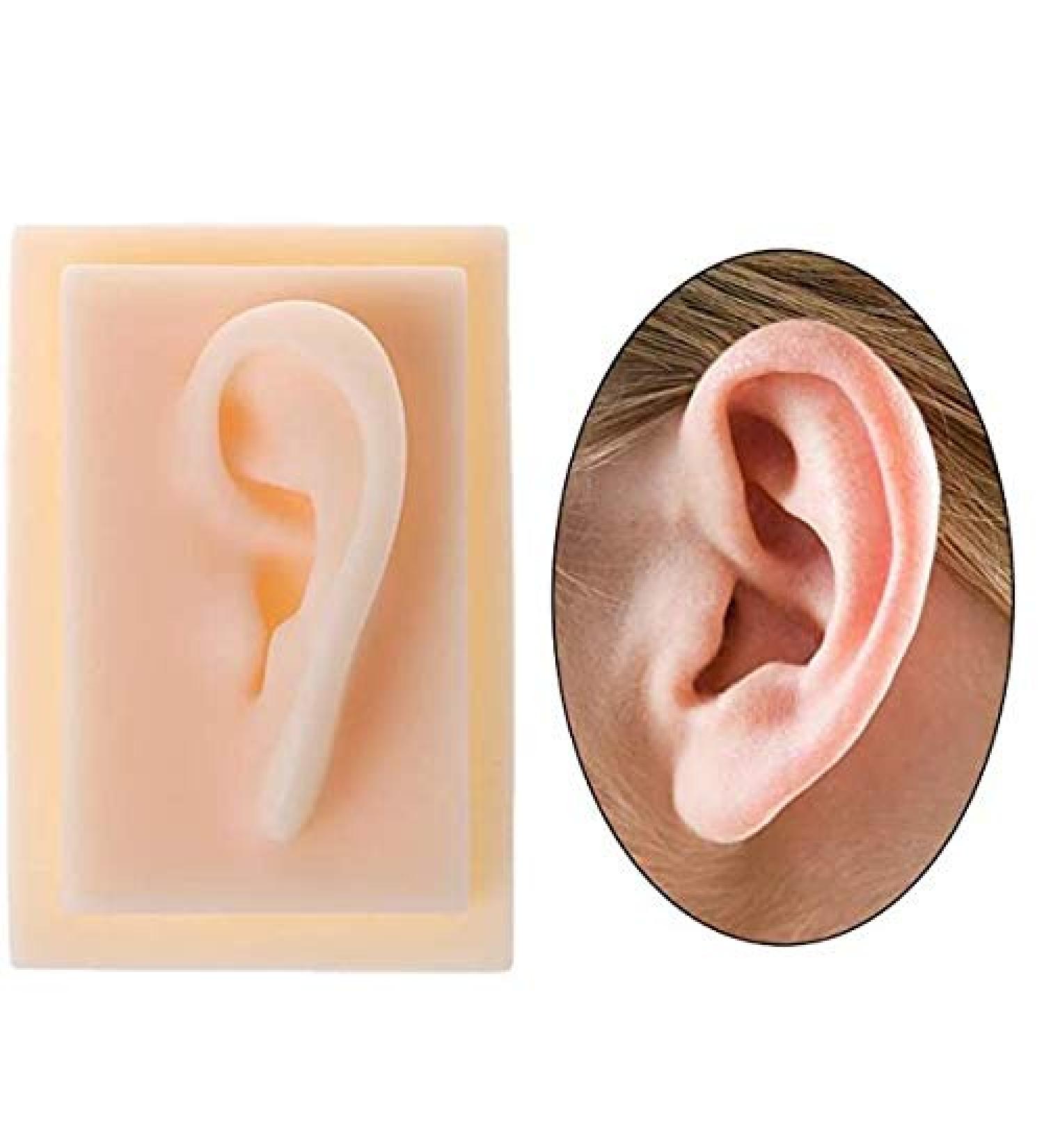GRFIT Human Silicon Ear Model Pair Skin Color Durable Medical Research 9.7 x 6.3cm - Buy Online on GoSupps.com