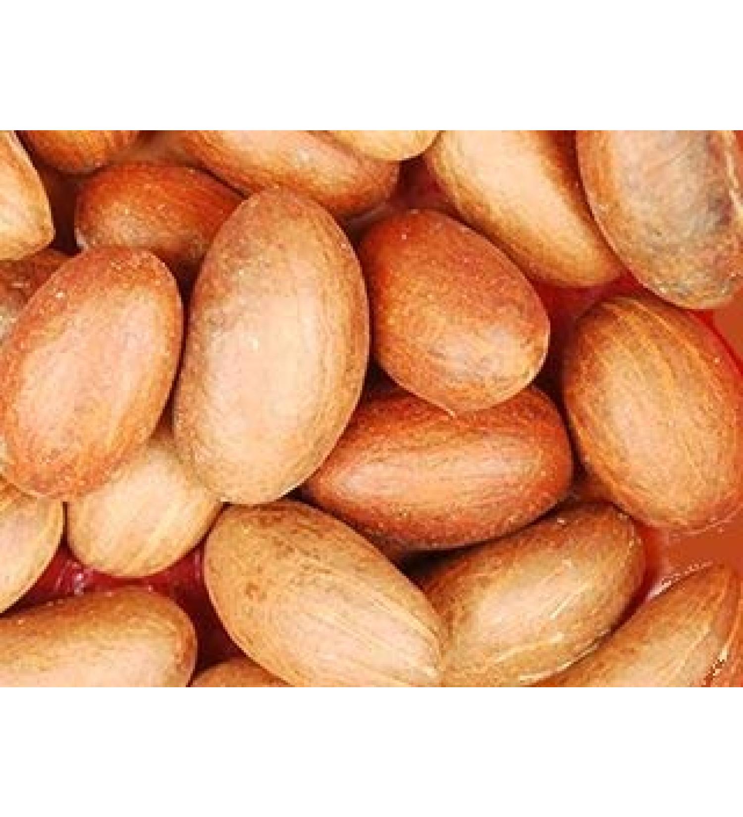 Bitter Kola Nut | Kola | Cola 8 Oz