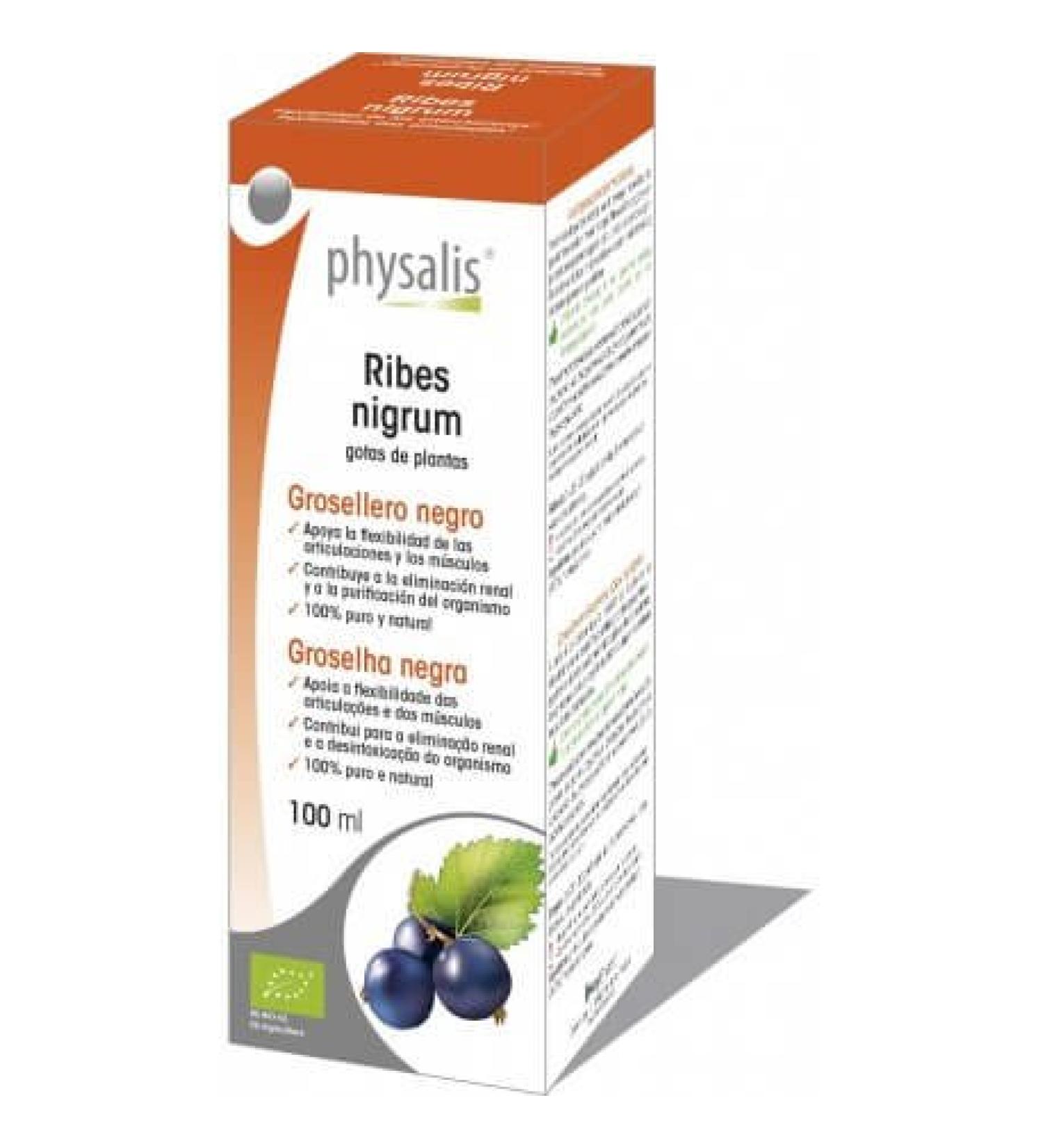 Physalis Blackcurrant (Ribes nigrum) hydroalcoholic extract organic 100 ml Physalis