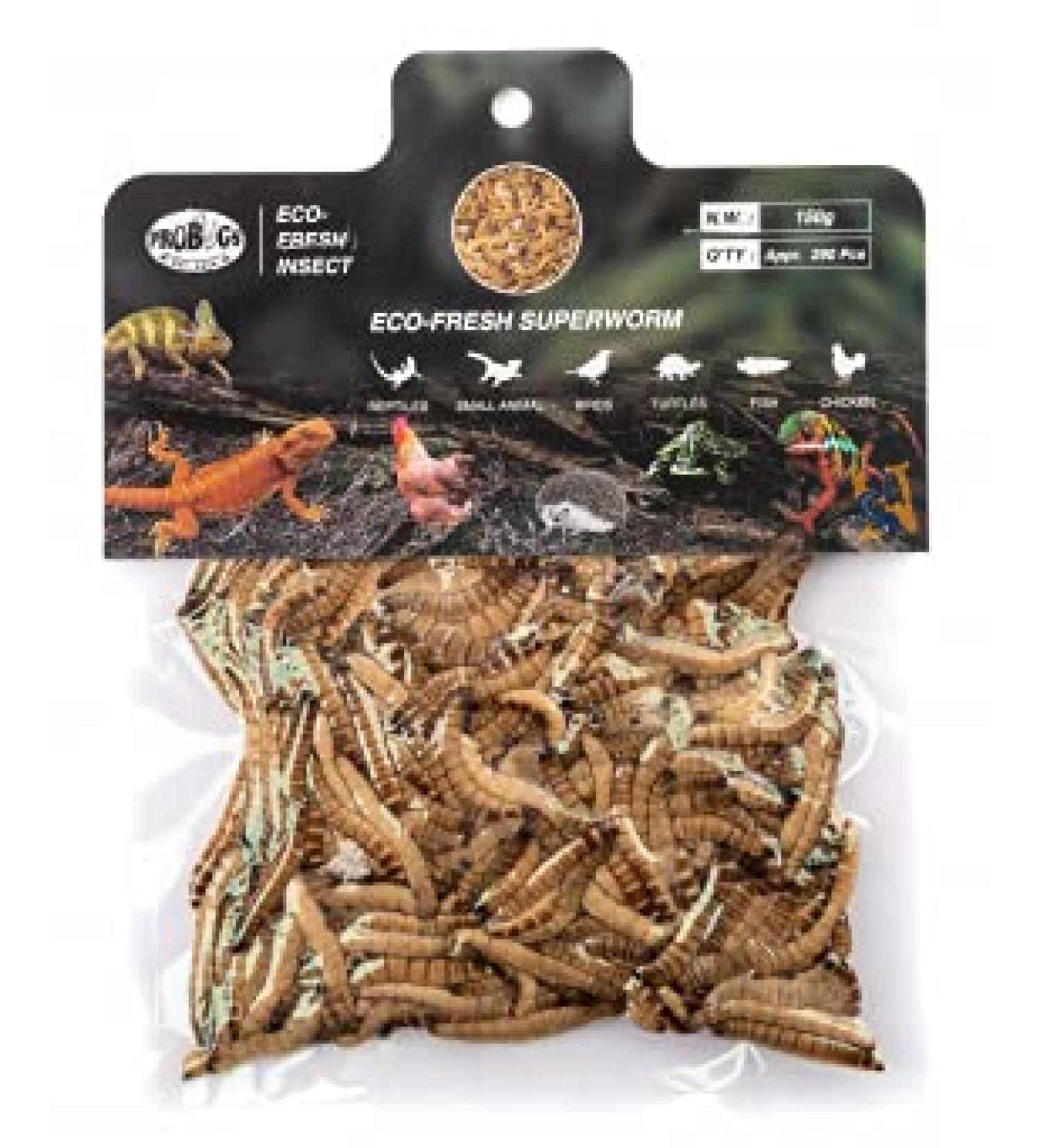 ProBugs Eco-Fresh Superworm 290pcs 150g