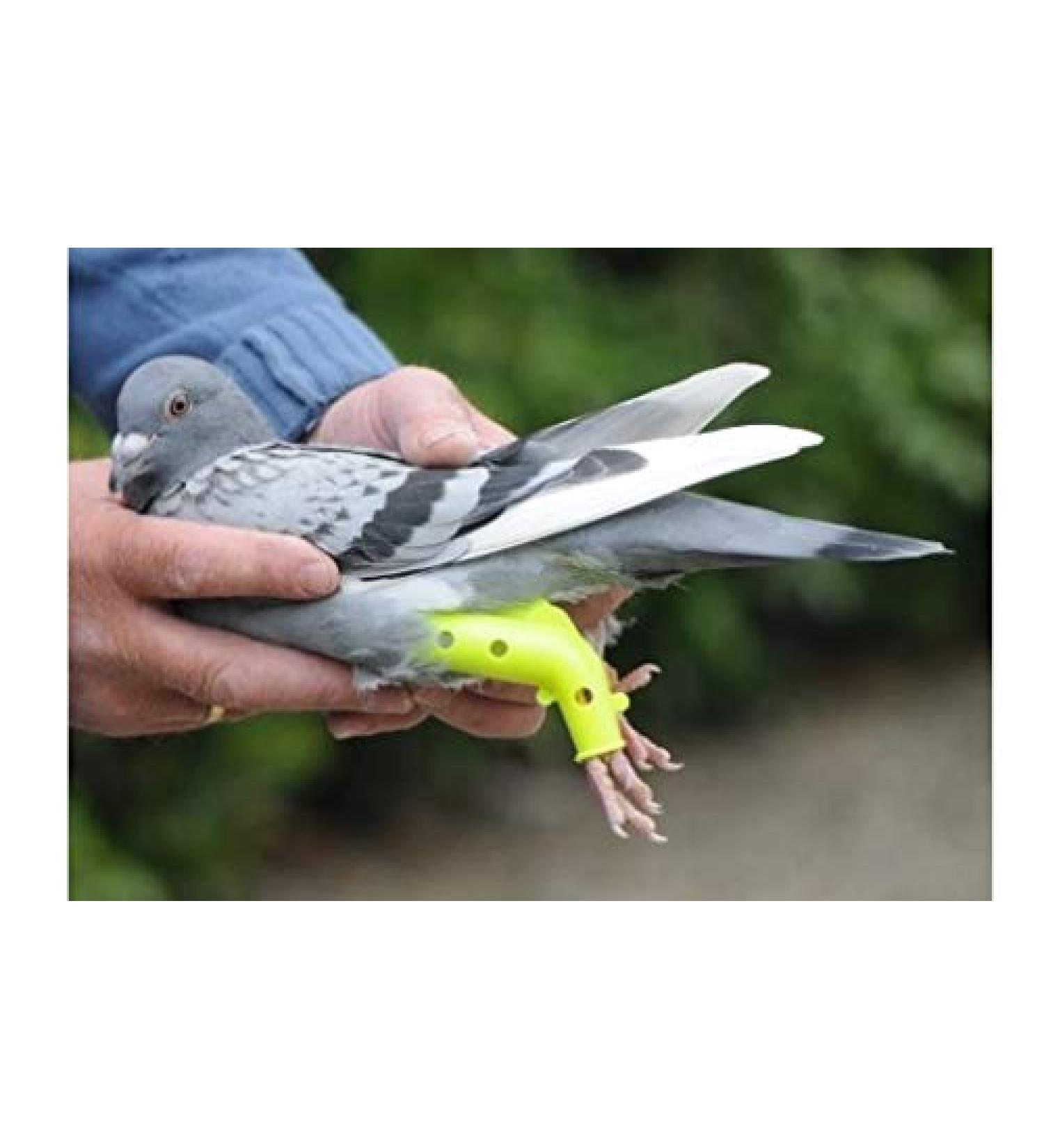 BVT 2 prosthesis for pigeons leg splint - racing pigeons - pedigree pigeons - birds - poultry