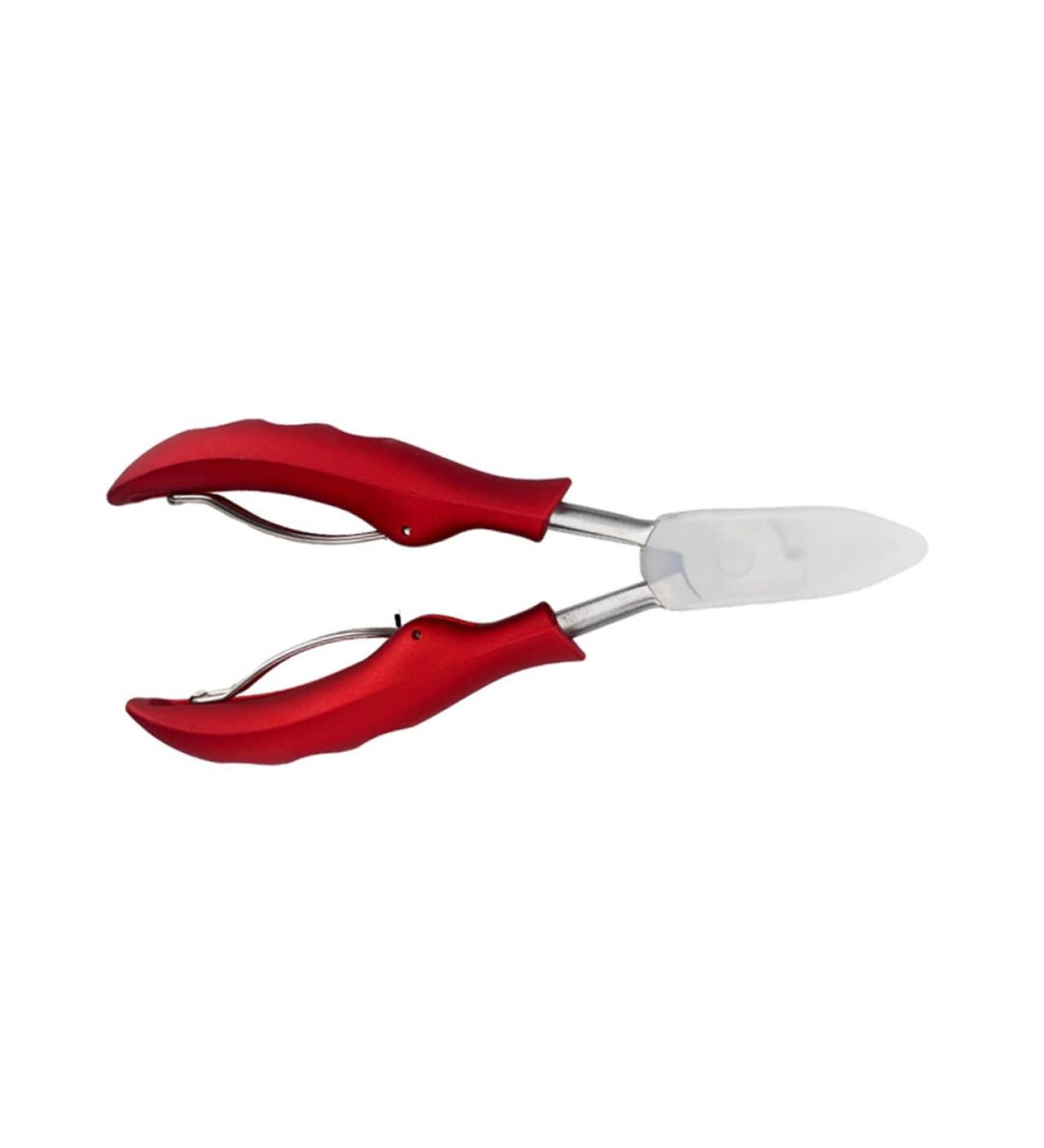Mikinona 1pc Nail Clippers Nail Kit Nail Tool Skin Pliers Nail Grooming Plier Manicure Nipper Pedicure Kit Bevel Trimmer Groove Clamp Stainless Steel Red Modify Dead Skin Scissors - Buy Online on GoSupps.com