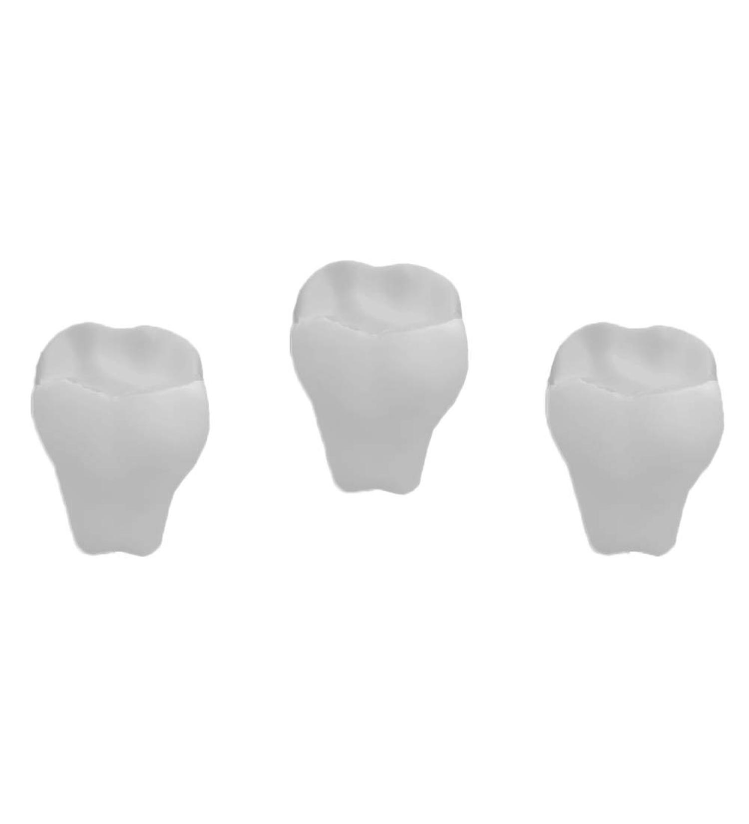 Stress Relief Squeezable Foam Tooth Set of 3 - Buy Online on GoSupps.com