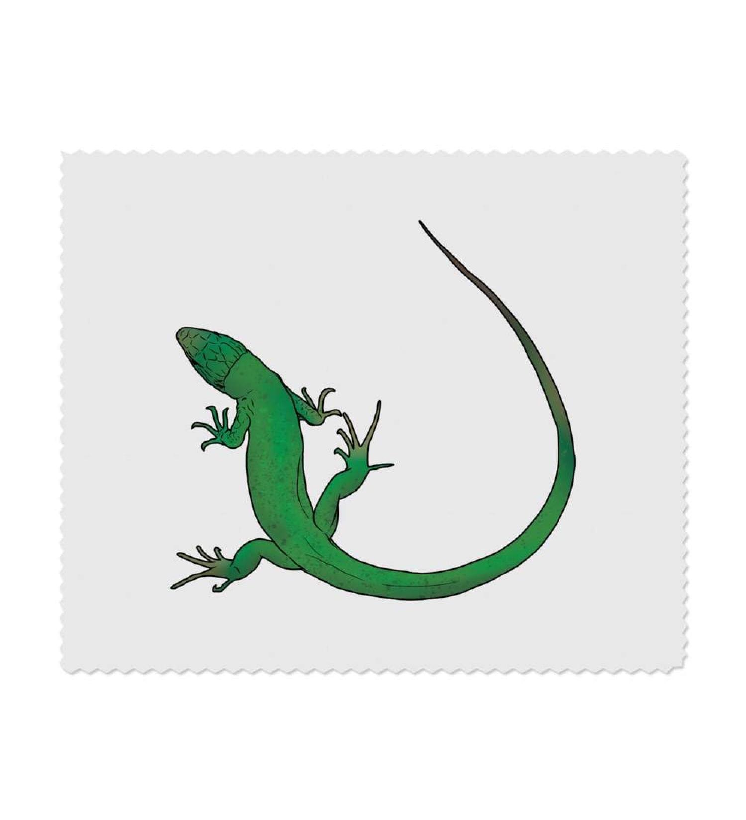 Buy LC00023396 Microfiber Lens & Eyeglass Cleaning Cloths - Curly Green Lizard - Pack of 2 | International Shipping Available - Buy Online on GoSupps.com