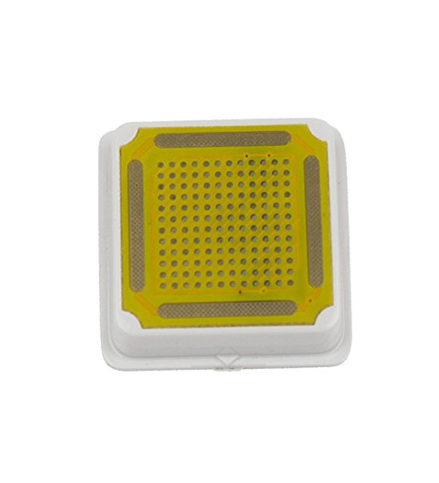 Gold Head Replacement Cartridge for Mini Portable Anti-aging Device - Buy Online on GoSupps.com