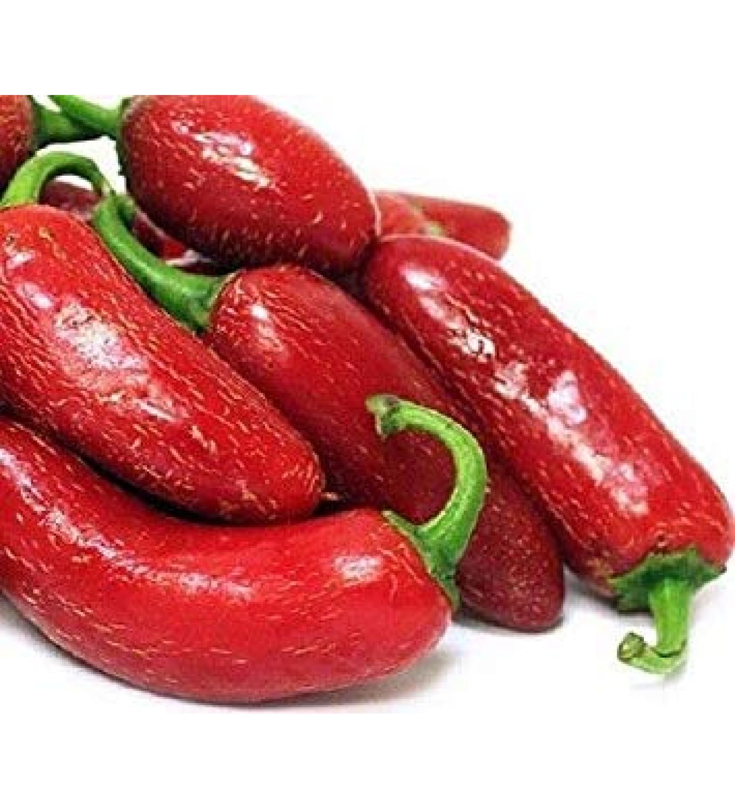Potseed Chilli Red Jalapeno Hot Chili Pepper 20 Semi Piccolo Organico vegetale Asiatico