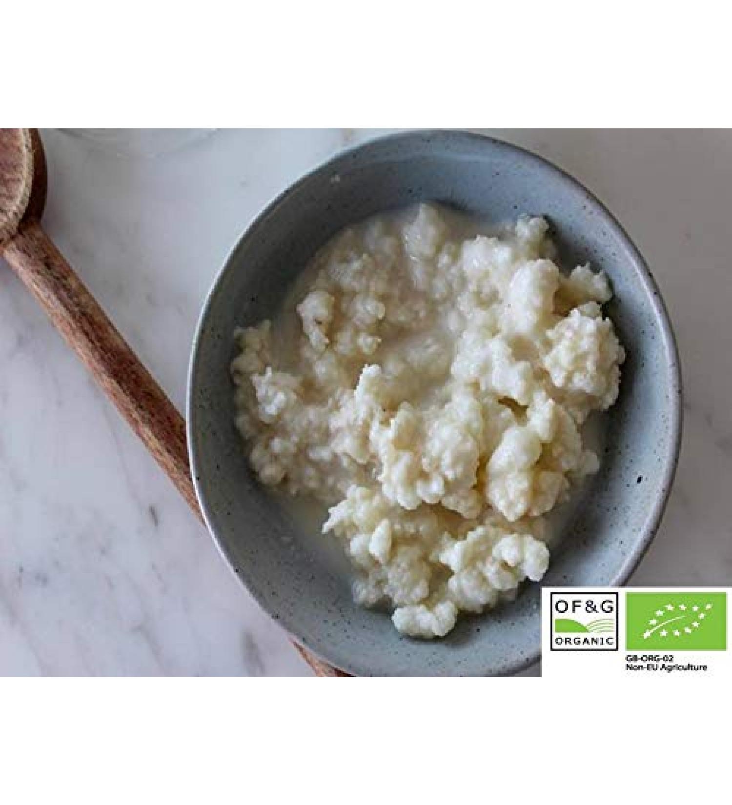 Buy 15g Organic Milk Kefir Grains | Best European Tibetan Mushroom Starter | Free International Shipping - Buy Online on GoSupps.com