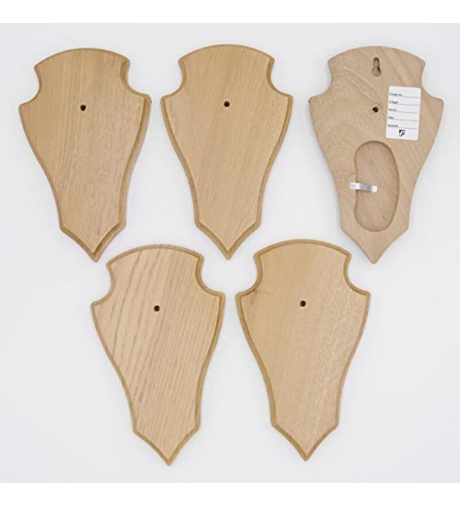5 Piece REH Trophy Signs - Light Oak Plaques with Pine Compartment | 19x11 cm - Ideal for Awards & Decor | International Shipping - Buy Online on GoSupps.com