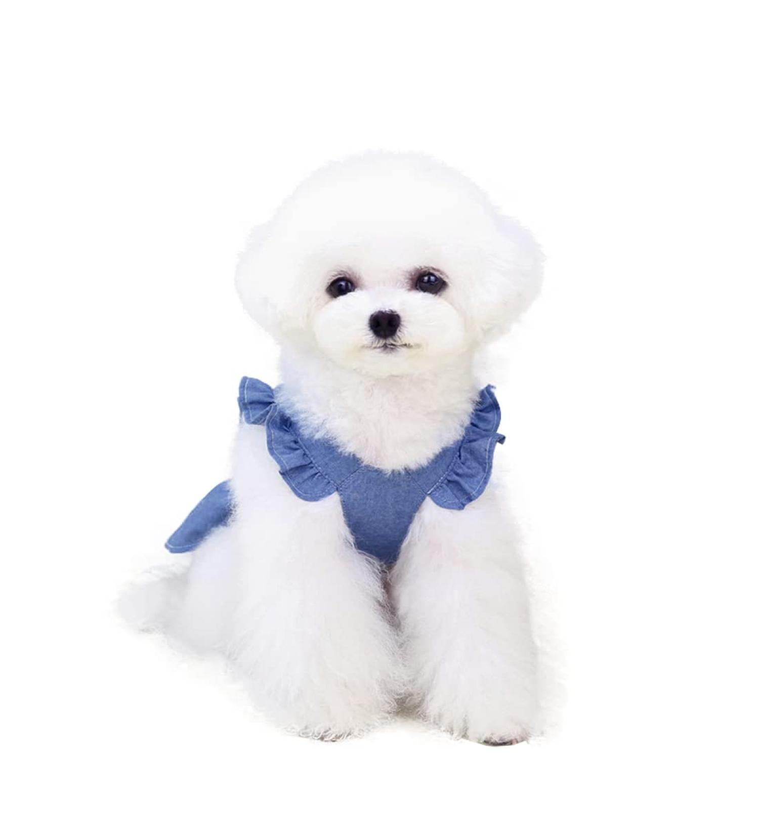 Shop Barrageon Sweet Princess Rock Clothing for Dogs & Cats - Medium Summer Outfit with Bowknot (Navy Blue - XL Back Length 35cm) - Buy Online on GoSupps.com