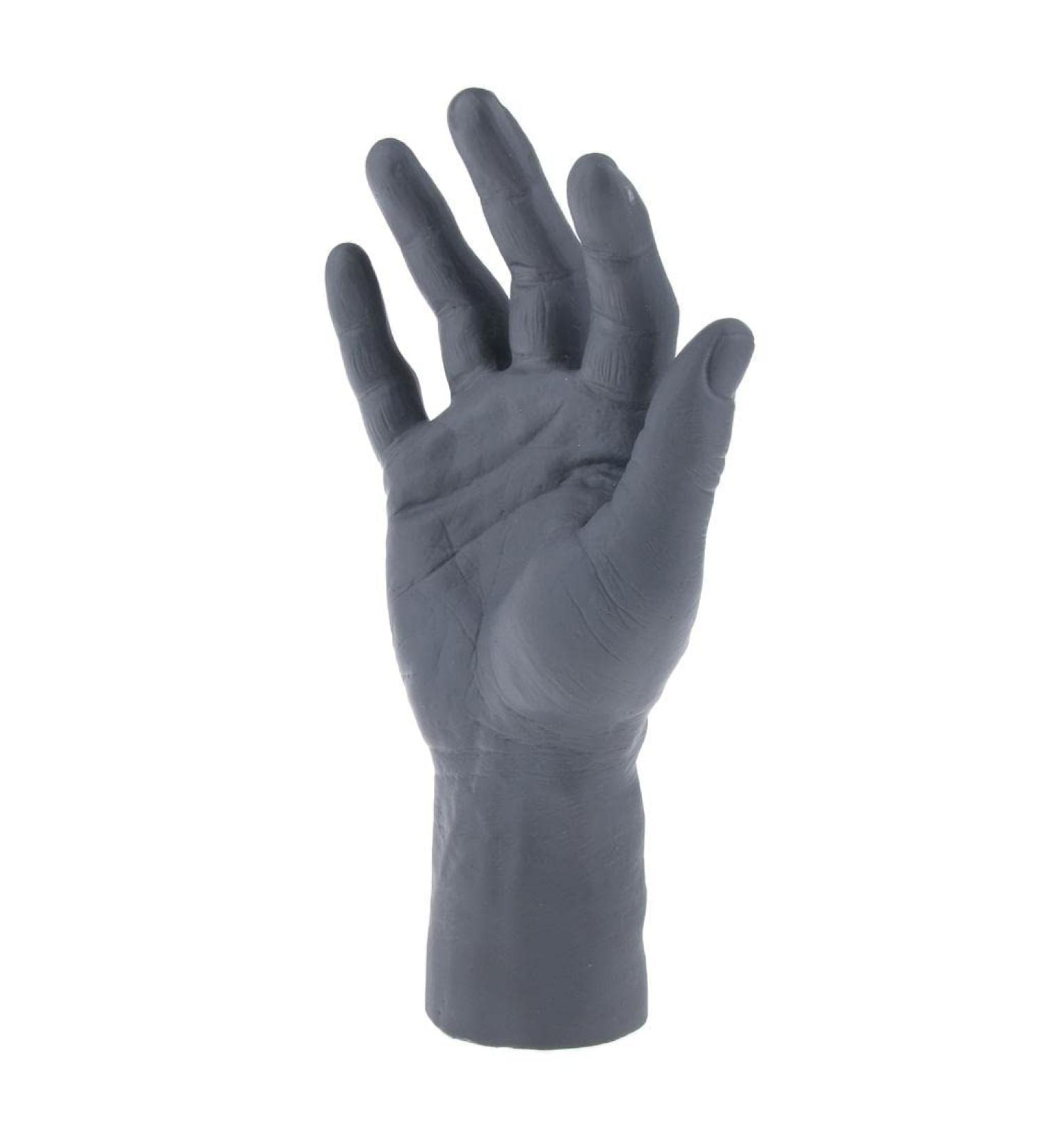Freestanding Soft Male Hand for Sports Gloves Display - Buy Online on GoSupps.com