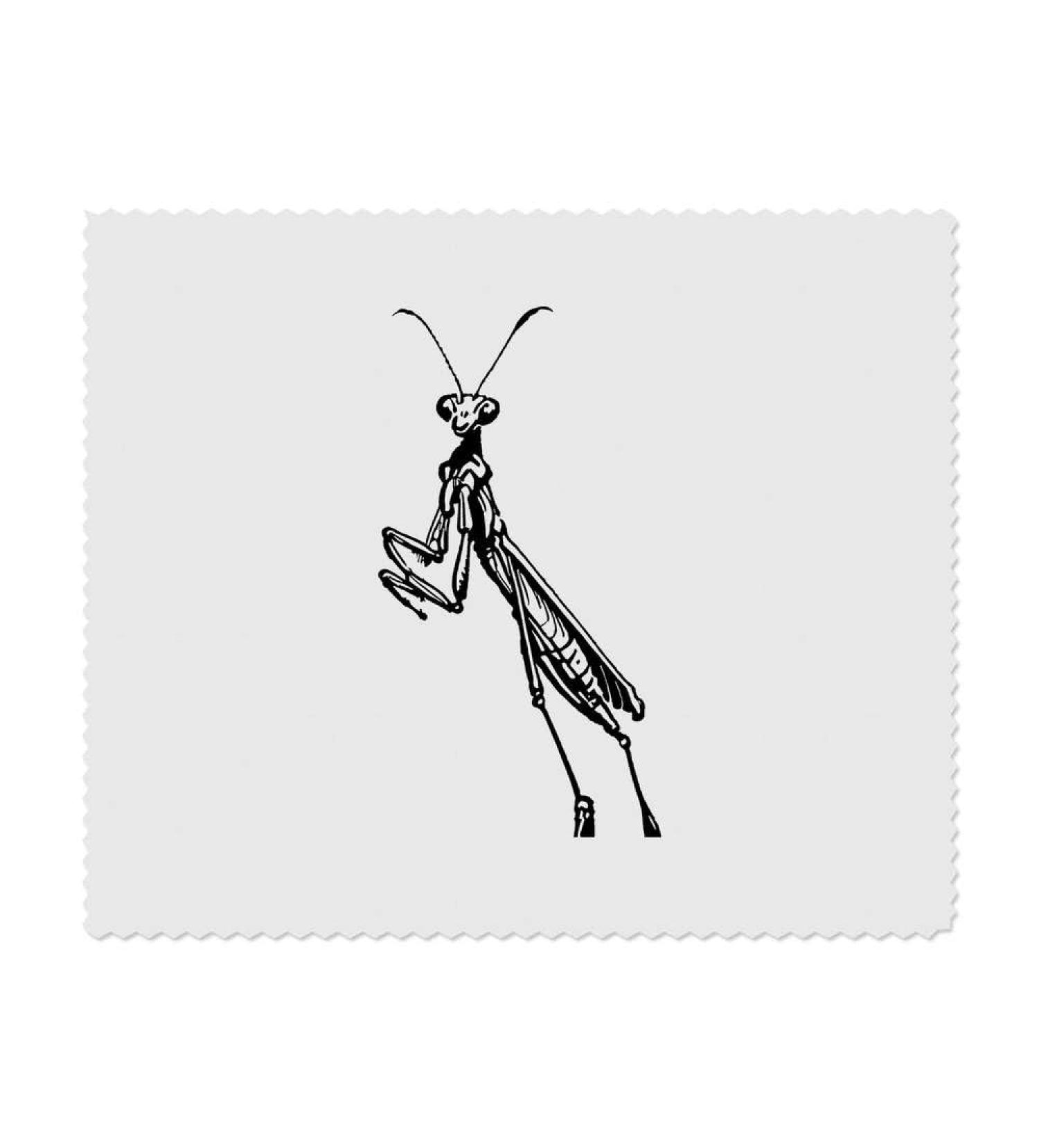 Buy Praying Mantis Microfiber Cleaning Cloths - Ultra-Effective Eco-Friendly | International Shipping Available - Buy Online on GoSupps.com