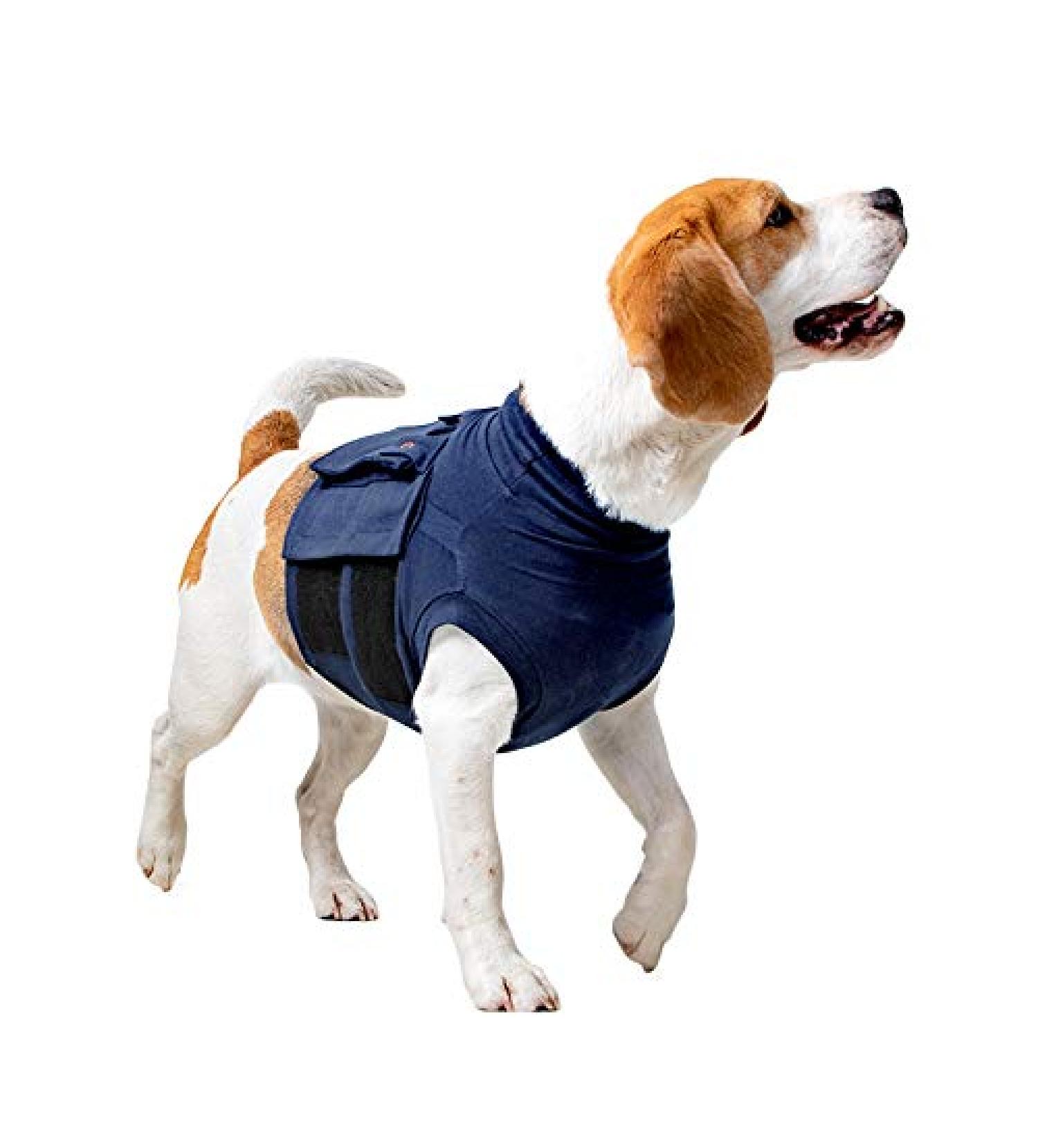 MPS Medical Pet Shirt - TOP Top Body Shirt for Dogs Small - Buy Online on GoSupps.com