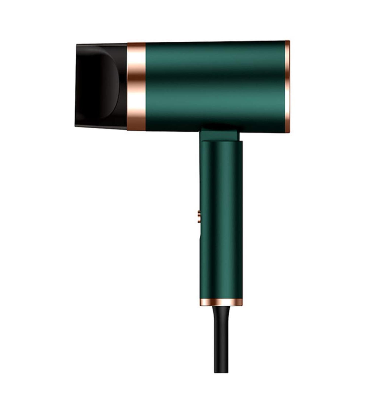 1300W Fast Blow Dryer Salon Hairdryer Foldable Hair Dryer Low Noise Large Air Volume Overheat Protection 2 Speed and 3 Heat Setting 1.8m Cable with Hanging Loop Concentrator for Home or Salon Pink Green - Buy Online on GoSupps.com