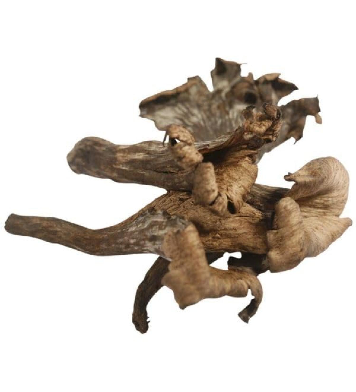 Trompette de la Mort Fresh (250g)