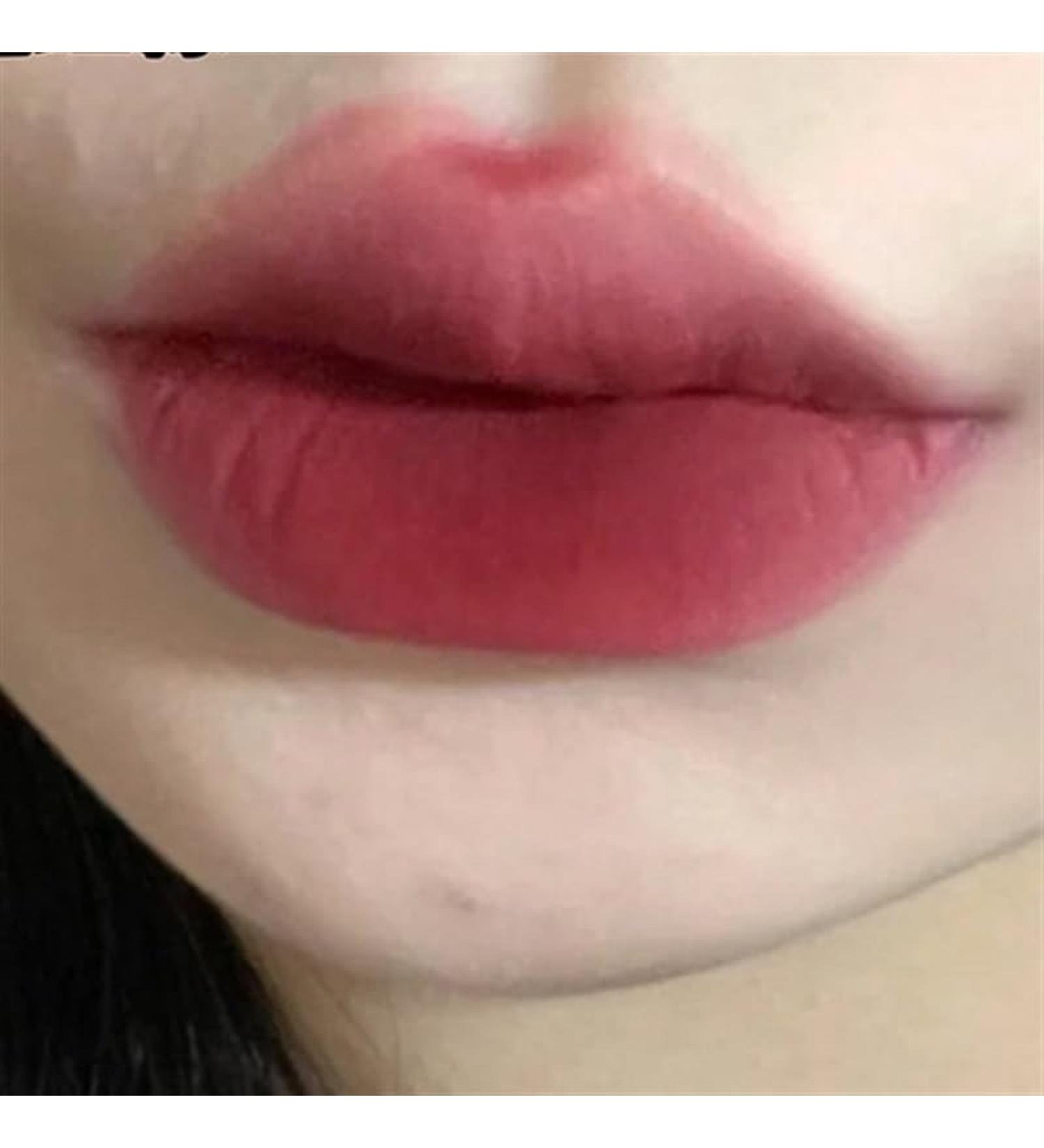 BADALO Velvet Mist Water Mist Lip Mud Soft Silky Matte Vegan White Non-Stick Lip Gloss Lip Glaze Lipstick (Color: 4 Lost Red Brown)