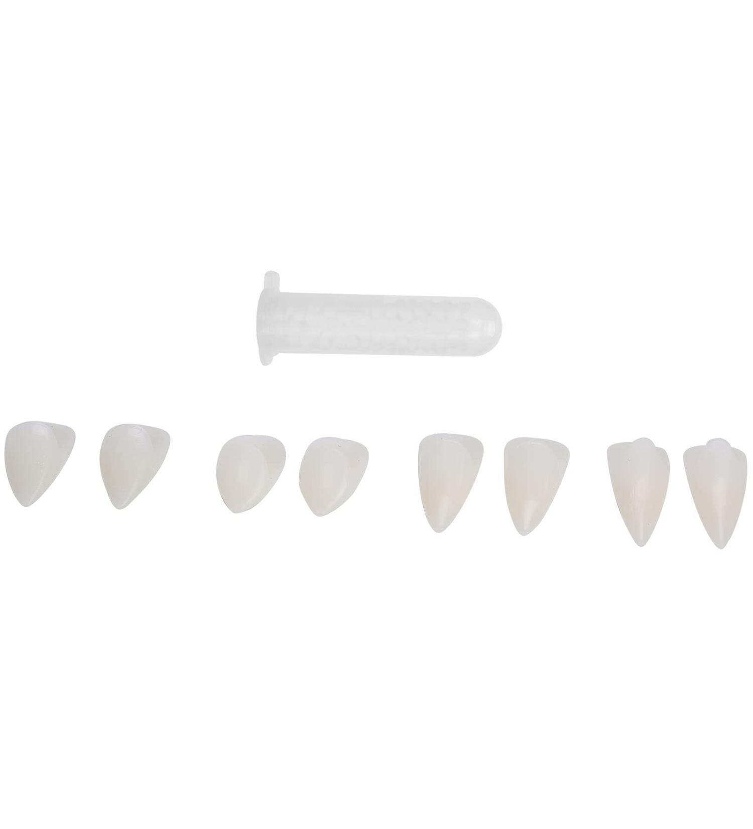 Shop Halloween Dentures & False Teeth for Cosplay | International Shipping & Costume Props - Buy Online on GoSupps.com
