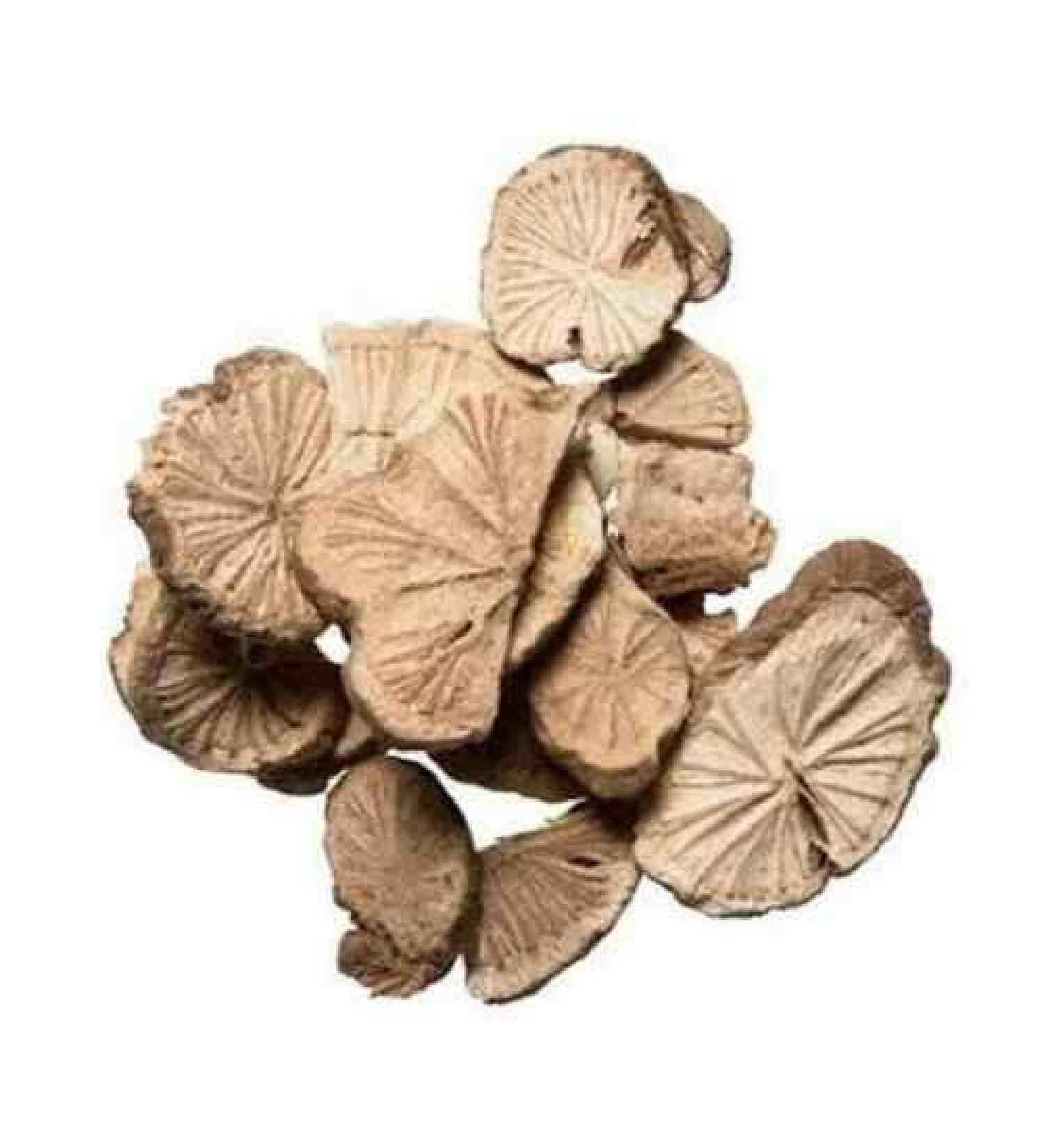 TCM Herbs USA Fang Ji / Radix Stephaniae Tetrandrae (8 oz) 8 Ounce