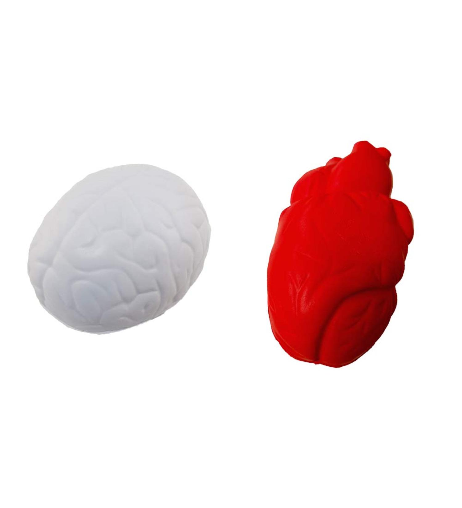 Stress Relief Squeezable Foam Brain & Heart - Buy Online on GoSupps.com