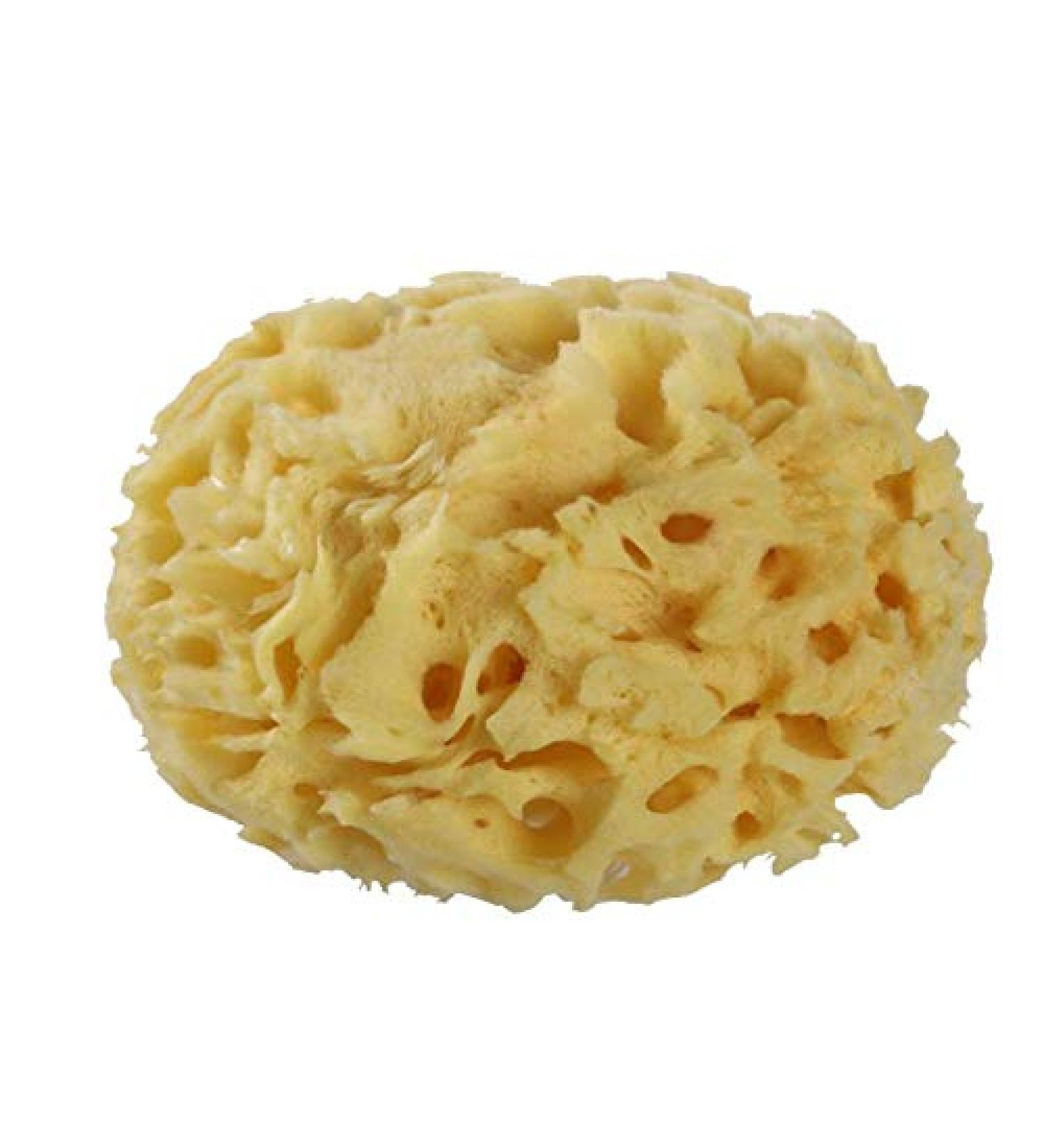 Premium Greek Honeycomb Natural Sea Sponge for Body Shower - Yellow 3.5 Inch Plus - Buy Online on GoSupps.com