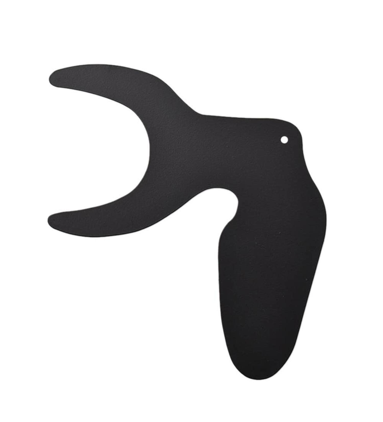 Baisha Dental Photography Background Plate - C-2B Oral Orthodontics & Contrast Cheek Plate for Professional Imaging - Buy Online on GoSupps.com