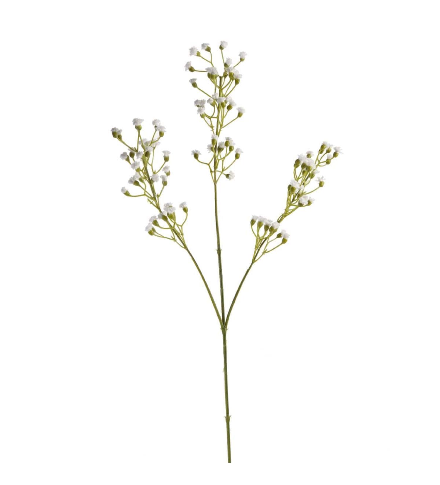 Ashland Ivory Mini Baby's Breath Spray 12 Pack - Buy Online on GoSupps.com