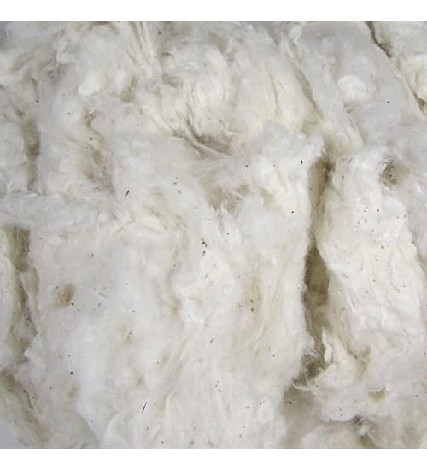 Organic Raw Cotton Fiber - 1 lb - Natural Color - Buy Online on GoSupps.com