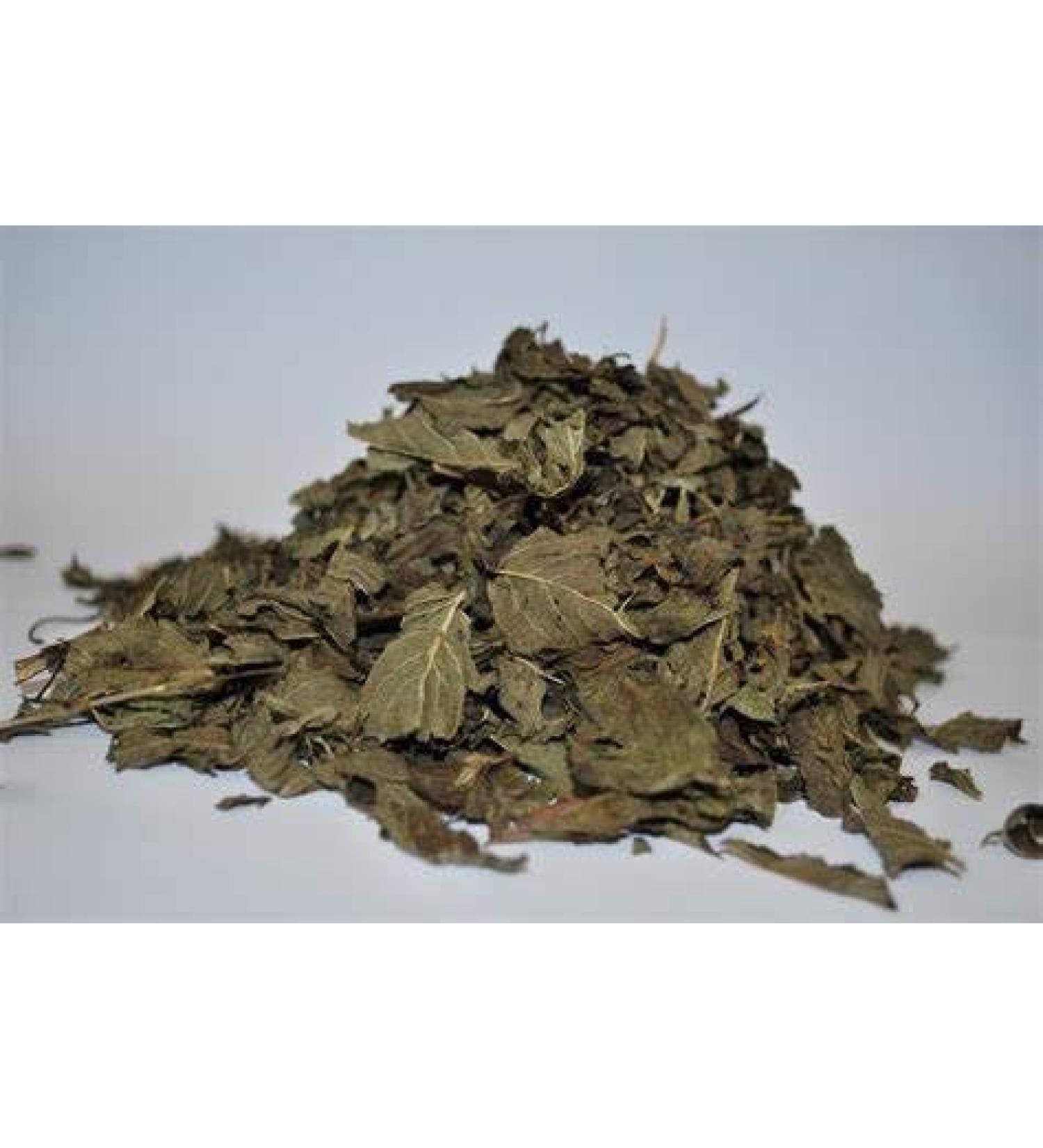 dried peppermint leaves 100g - Buy Online on GoSupps.com