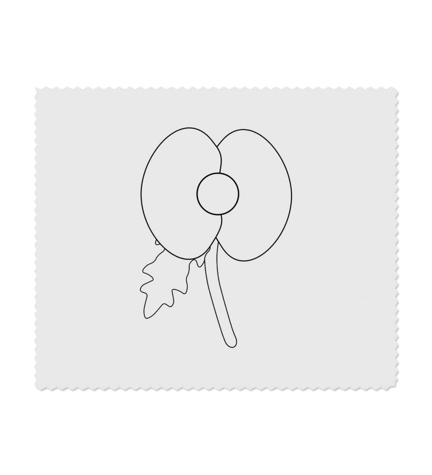 Buy 2 x 'Papaver' Microfiber Lens/Eyeglass Cleaning Cloths | International Shipping Available - Buy Online on GoSupps.com