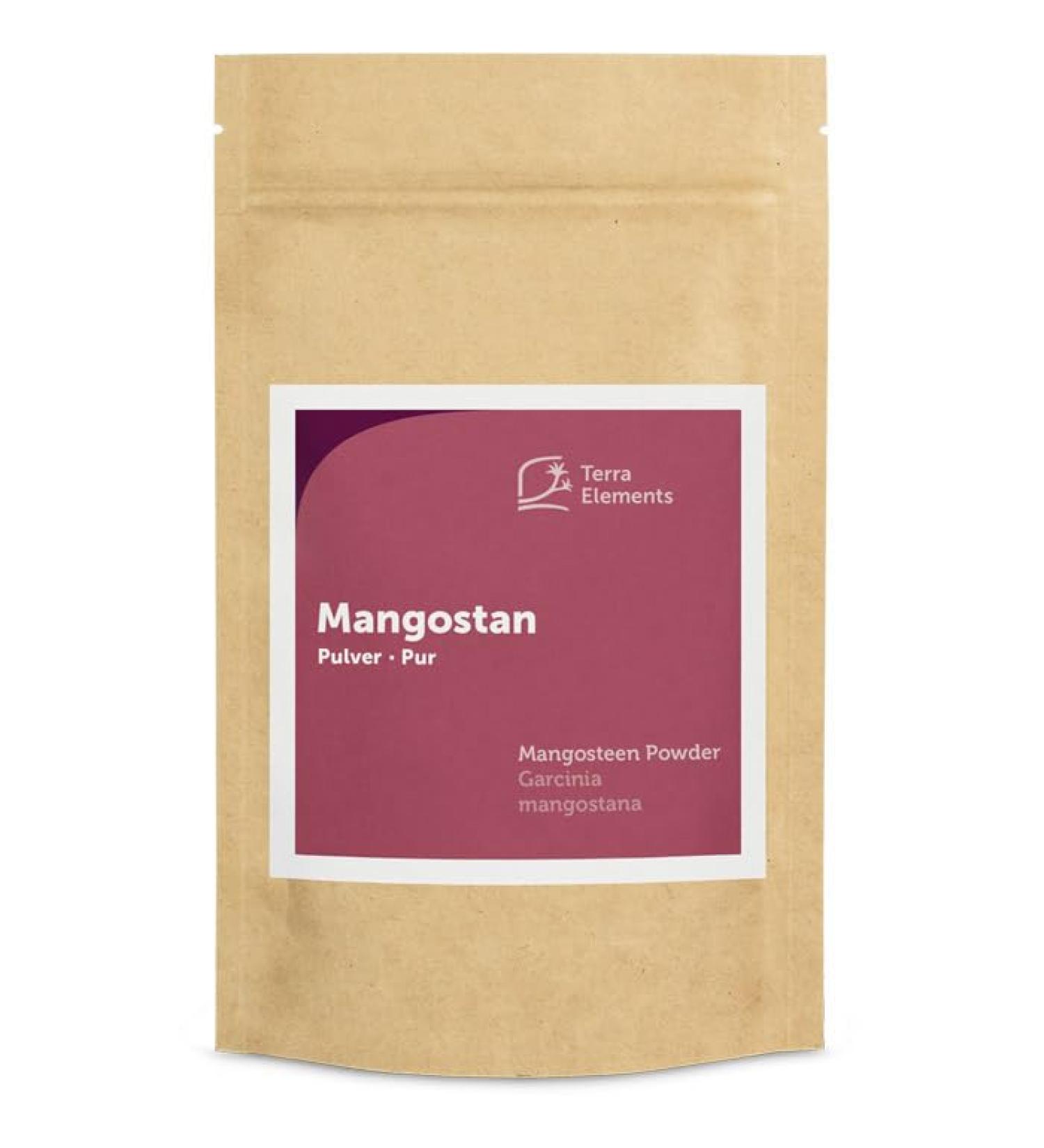 Terra Elements Terra Elements Mangosteen powder organic - 100g - Mangosteen - 100% pure - vegan - raw food