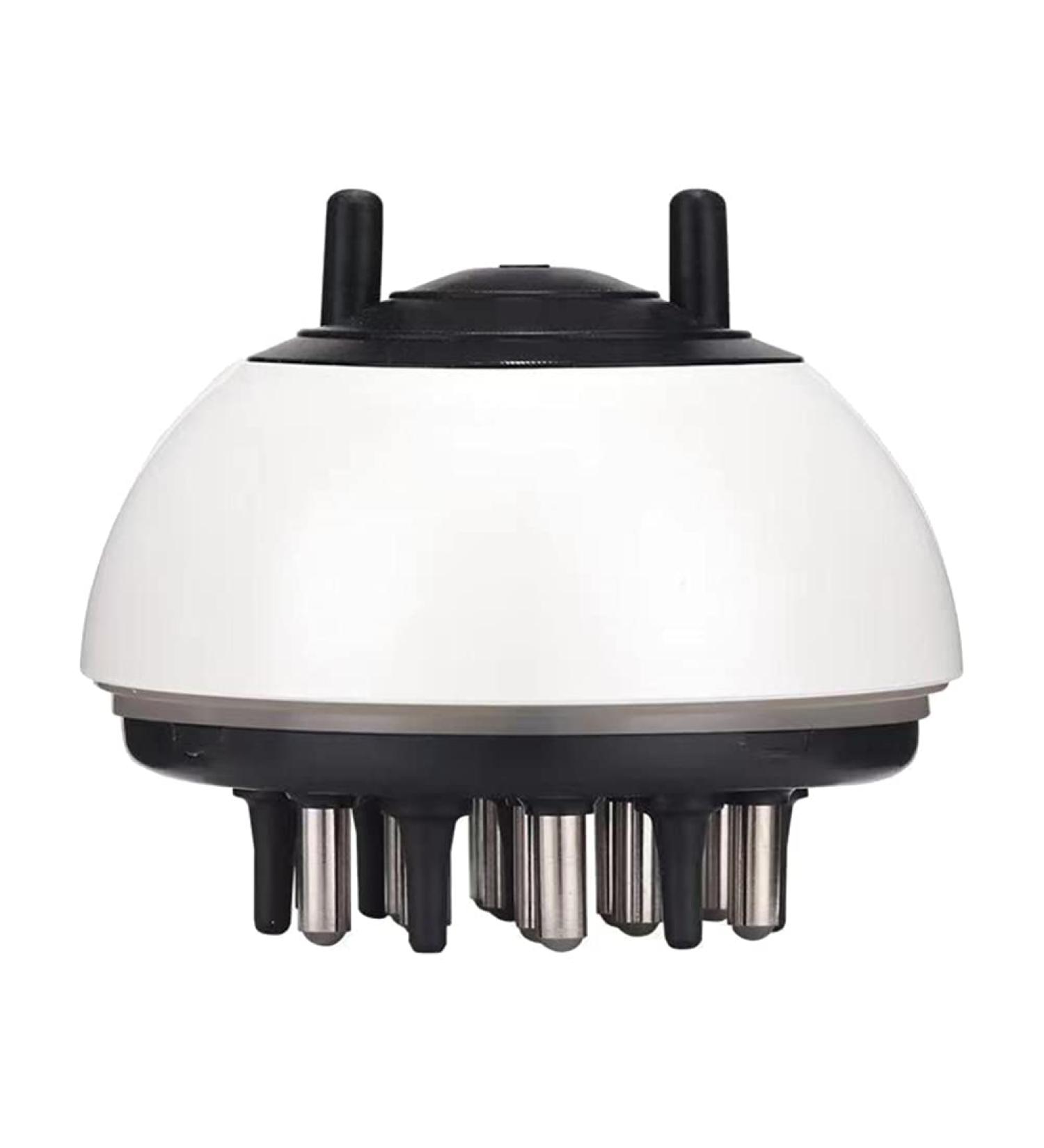 Buy Lurrose Hair Applicator Comb & Scalp Massage Brush - Perfect for Essential Oil Treatments & Hair Restoration - Buy Online on GoSupps.com