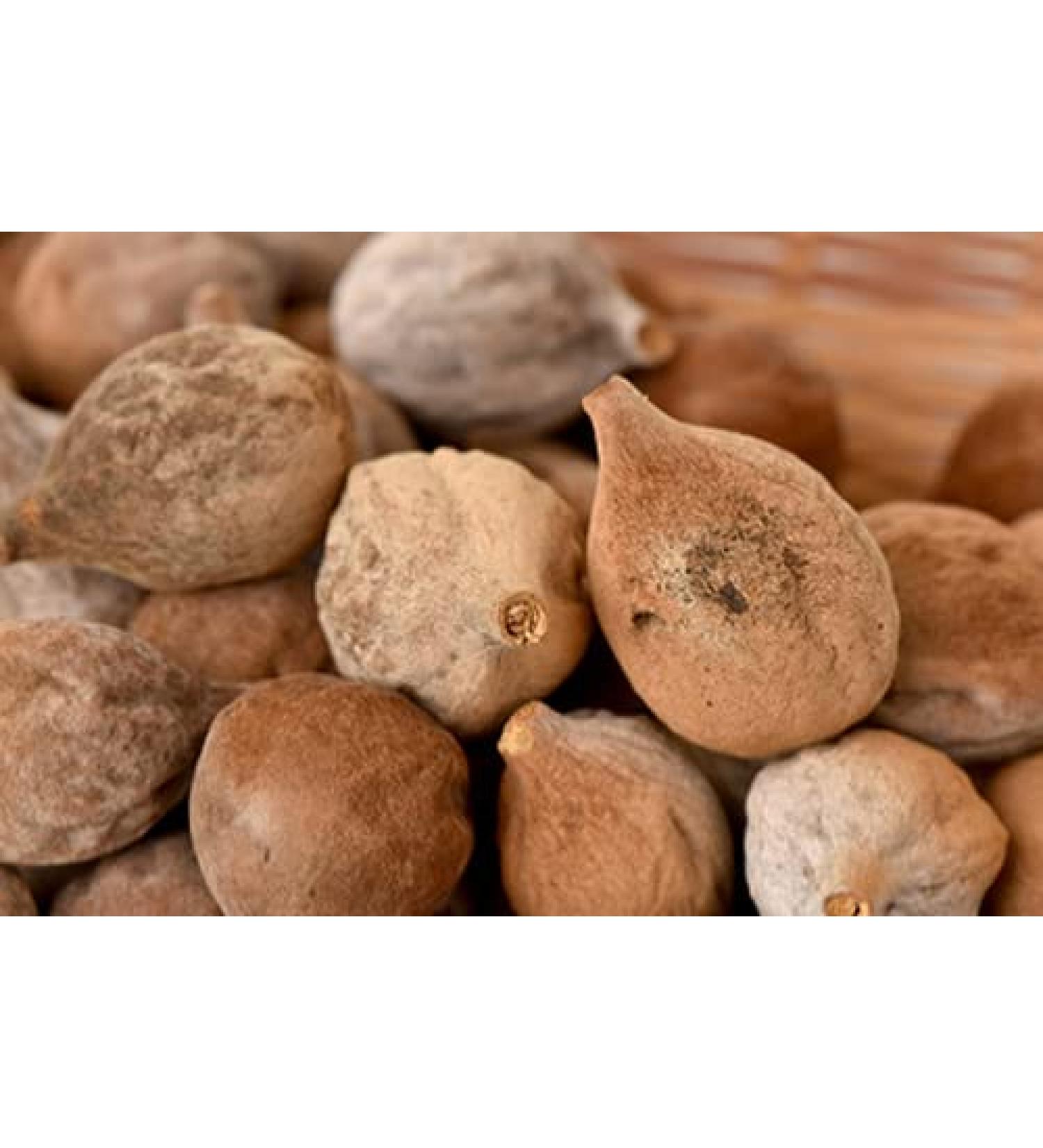 RAW HERBS/JADI BOOTI DRIED BAHEDA BAHERA BIBHITAKI TERMINALIA BELERICA (100GM) - Buy Online on GoSupps.com
