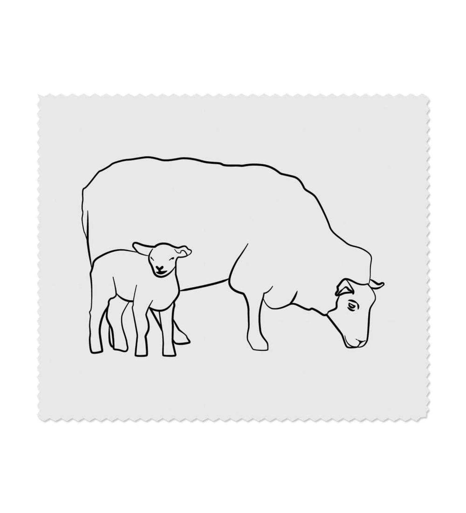 Buy 2x Sheep and Its Lamb Microfiber Cleaning Cloths for Lenses/Glasses - International Shipping Available - Buy Online on GoSupps.com