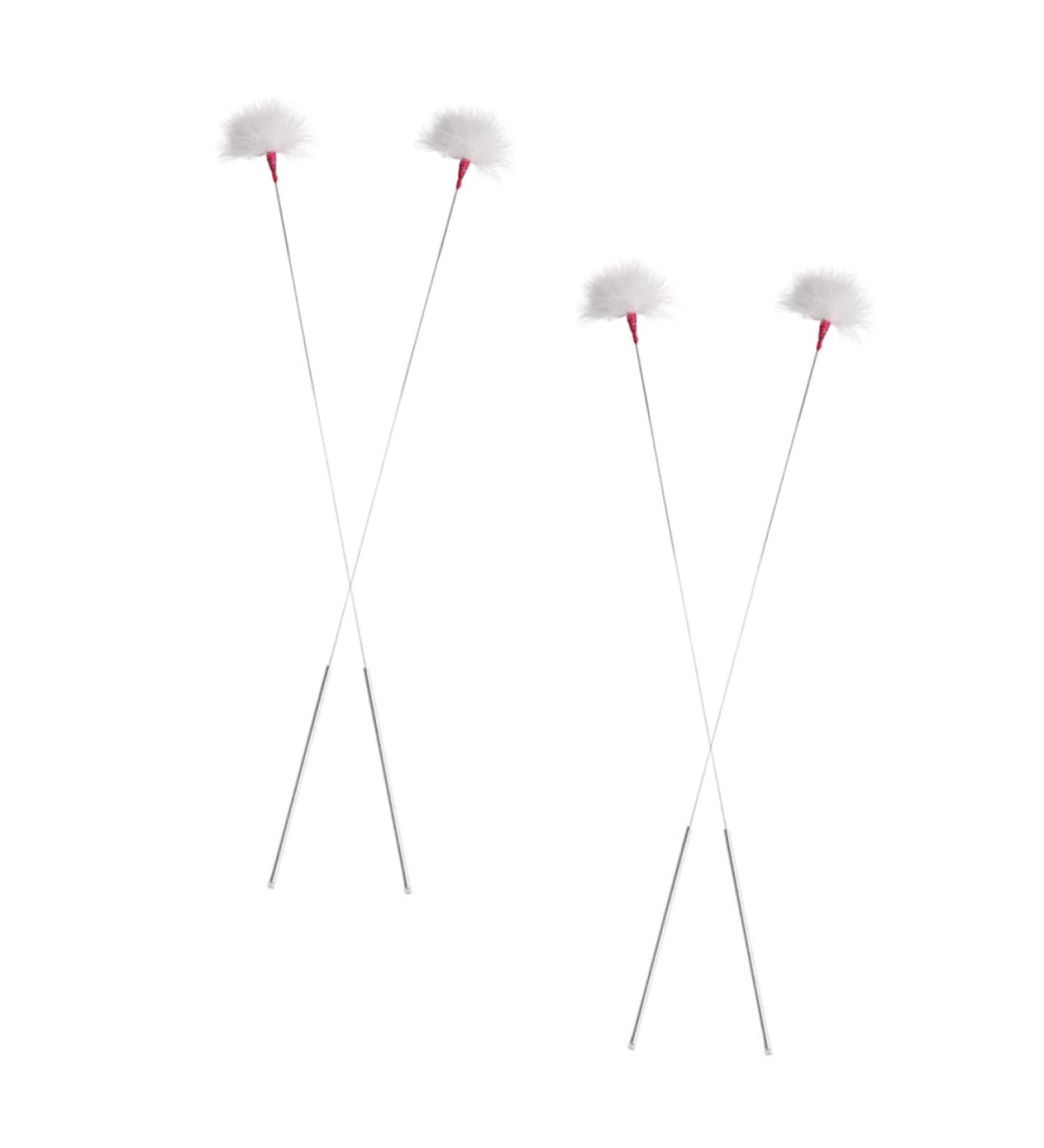 PACKOVE Ear Cleaning Sticks Pcs Set Ear Wick Wax Picker Scraping Tool Made of Metal Goose Random - Buy Online on GoSupps.com