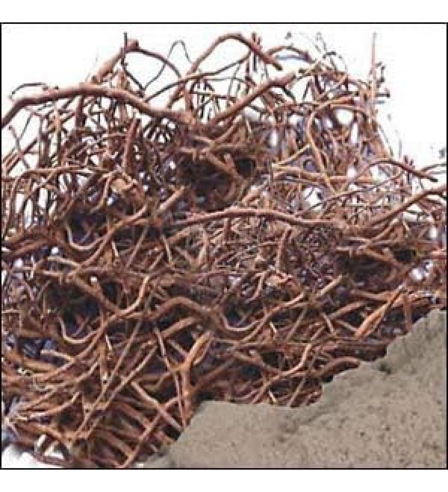 Pippali Mool Pippalimool Pippalimul Piper Longum Long Pepper Root Raw Herb Modi 250g Bulk Pack