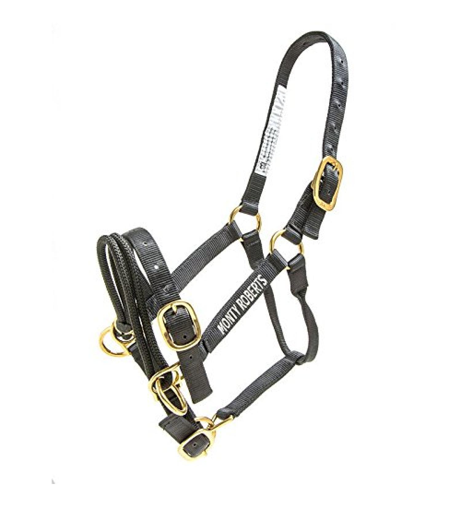 Buy Monty Roberts Double Headshaft - Premium Horse Training Equipment | International Shipping Available - Buy Online on GoSupps.com