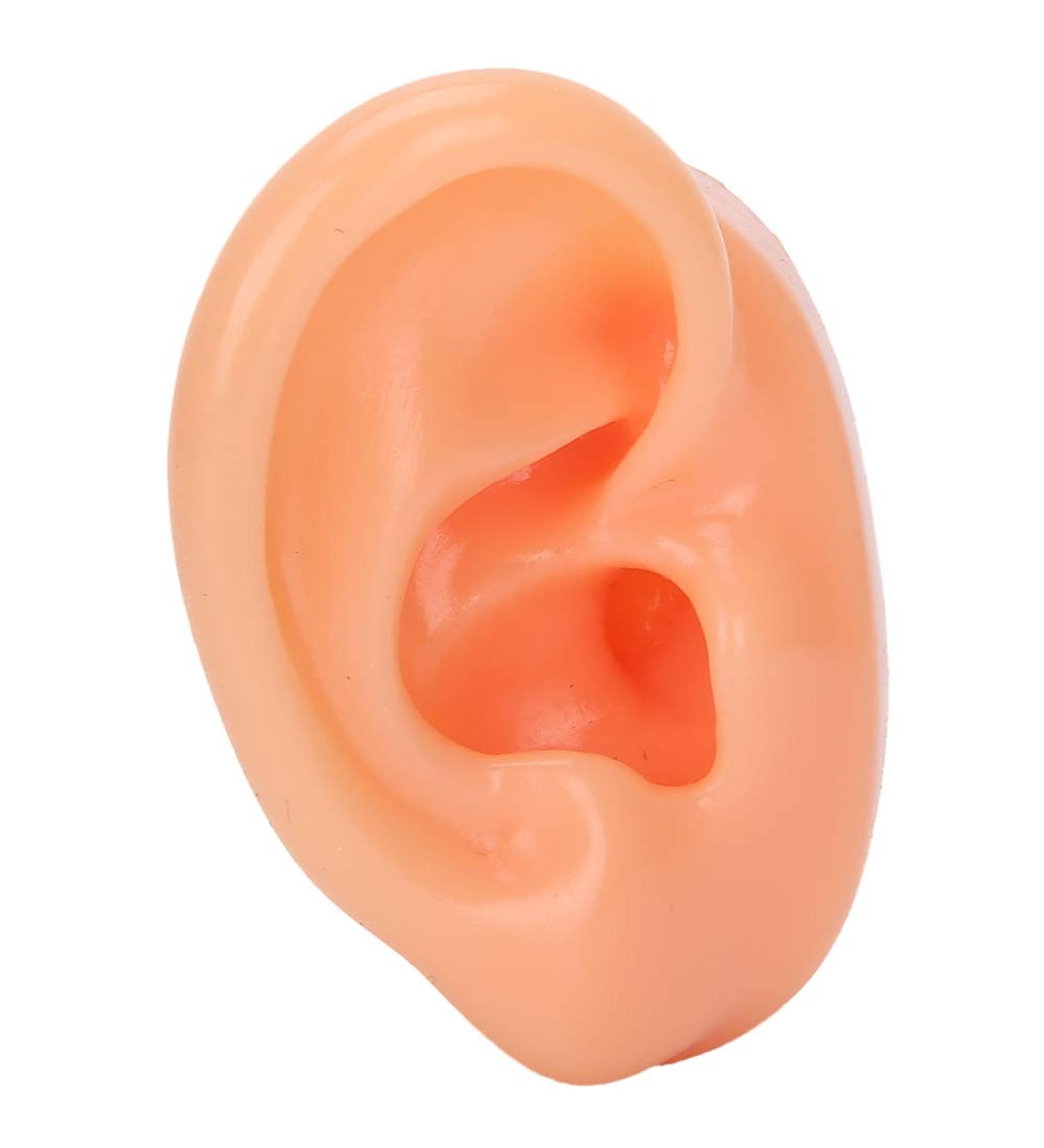Silicone Right Ear Model for Hearing Aids | Flexible & Soft Simulation Display Ear - Buy Online on GoSupps.com