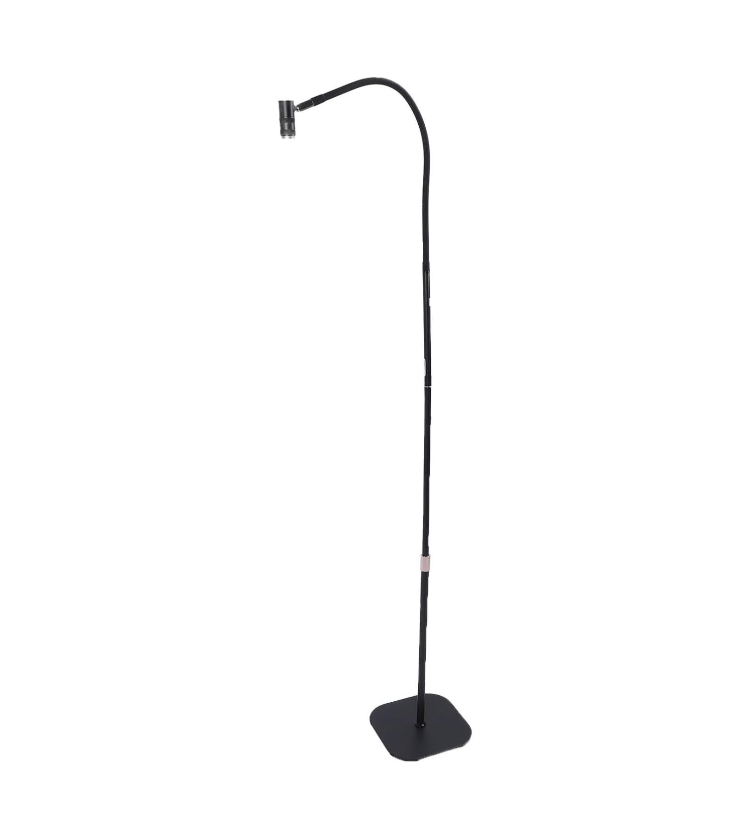 UV Light 6W UV Lamp for Gel Nails Gooseneck Ultraviolet Curing UV Nail Lamp with Foot Pedal Removable Lamp Head LED Nail Manicure Dryer Curing Light Floor Lamp for Salon - Buy Online on GoSupps.com