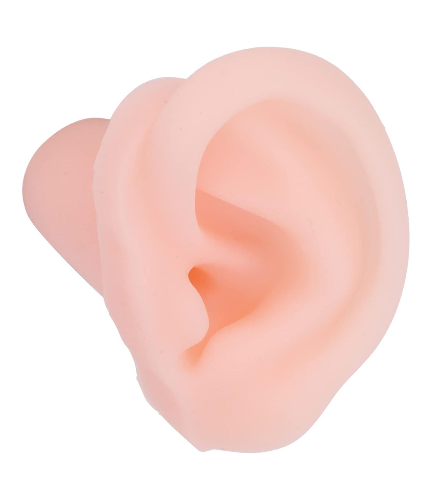 Silicone ANGGREK V8 Vacuum Filter Fake Ear Model & Display Tool - Left Human Ear Simulation for Medical Training & Education - Buy Online on GoSupps.com