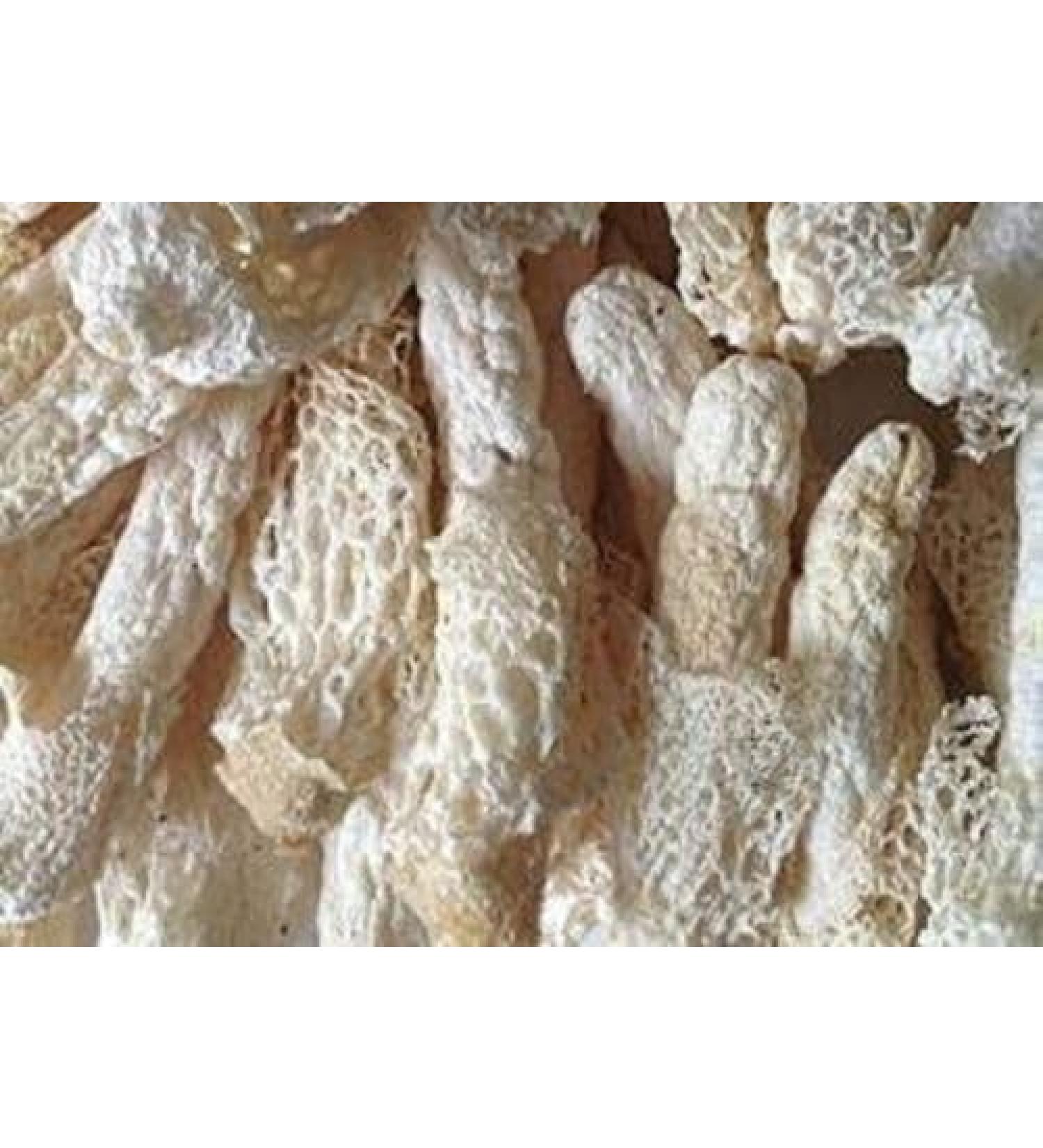 WENXUANSU:1 Pound (454 grams) Wild Bamboo Fungus Dried Mushroom from Yunnan China - Buy Online on GoSupps.com