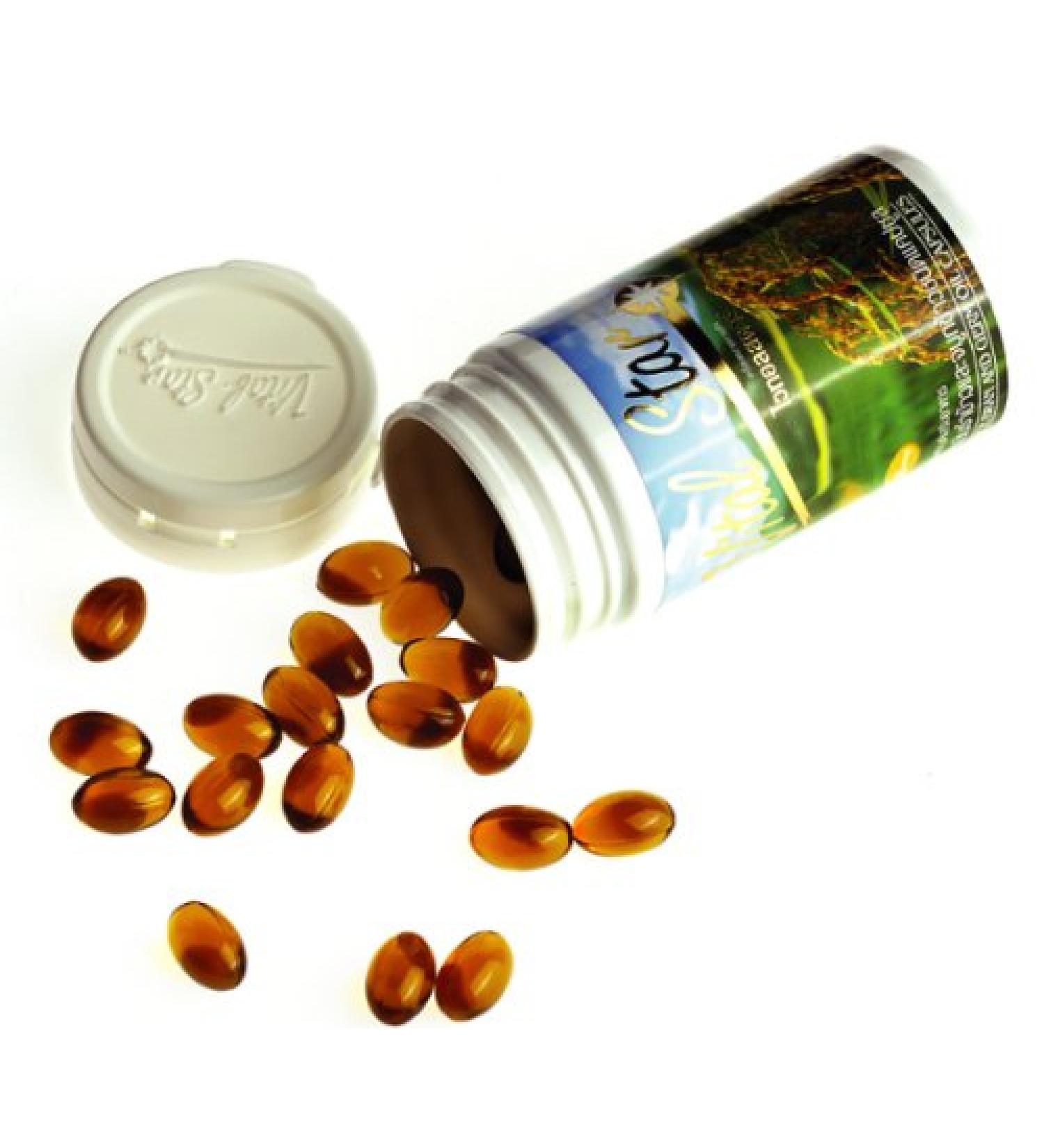 Rice Bran and Germ Oil Capsule Cholesterol Antioxidant Gamma Oryzanal