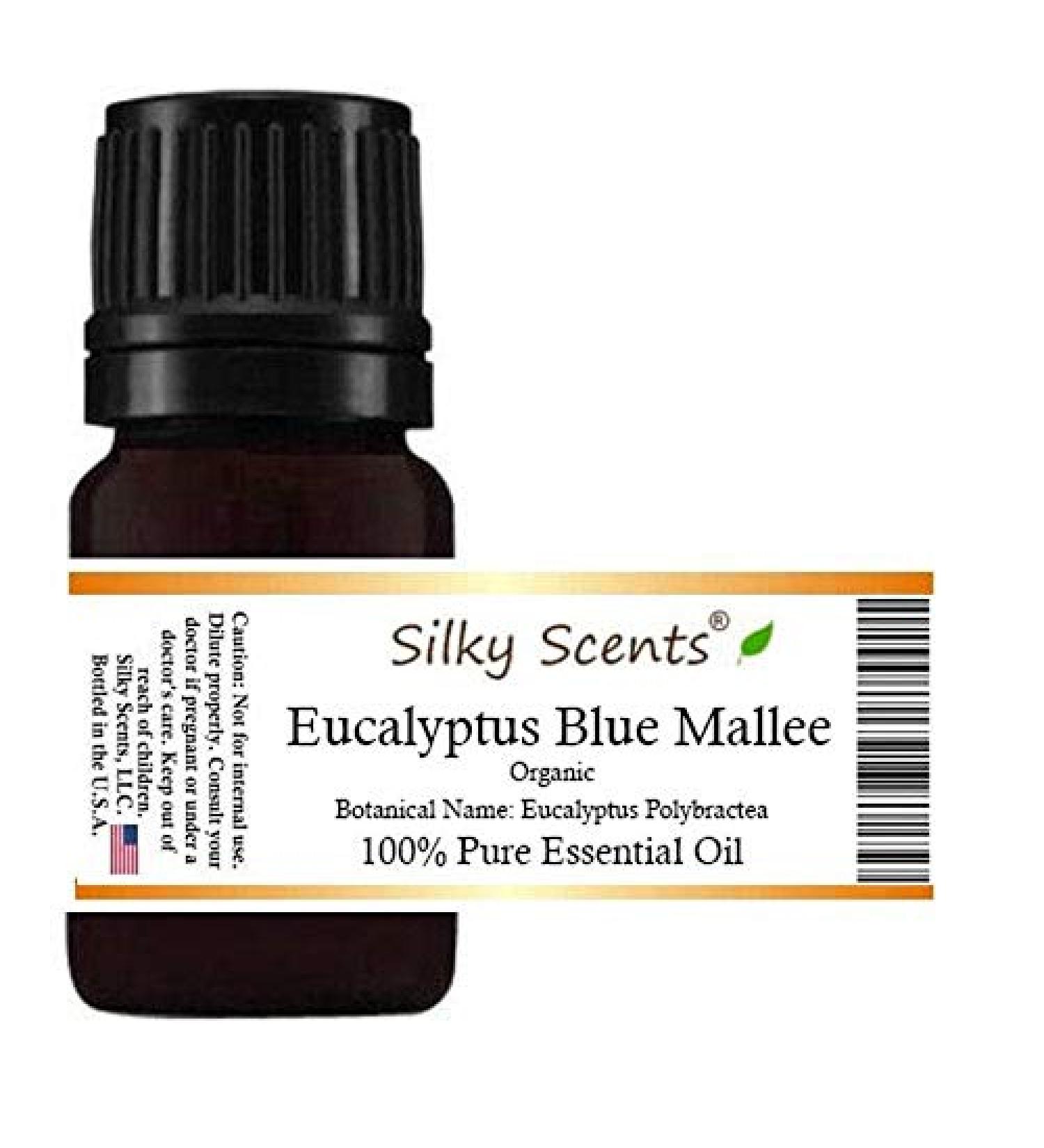 Eucalyptus Blue Mallee Organic Essential Oil (Eucalyptus Polybractea - Eucalyptus Blue Mallee) 100% Pure and Natural - 1OZ-30ML Eucalyptus 1 Ounce (30ML)