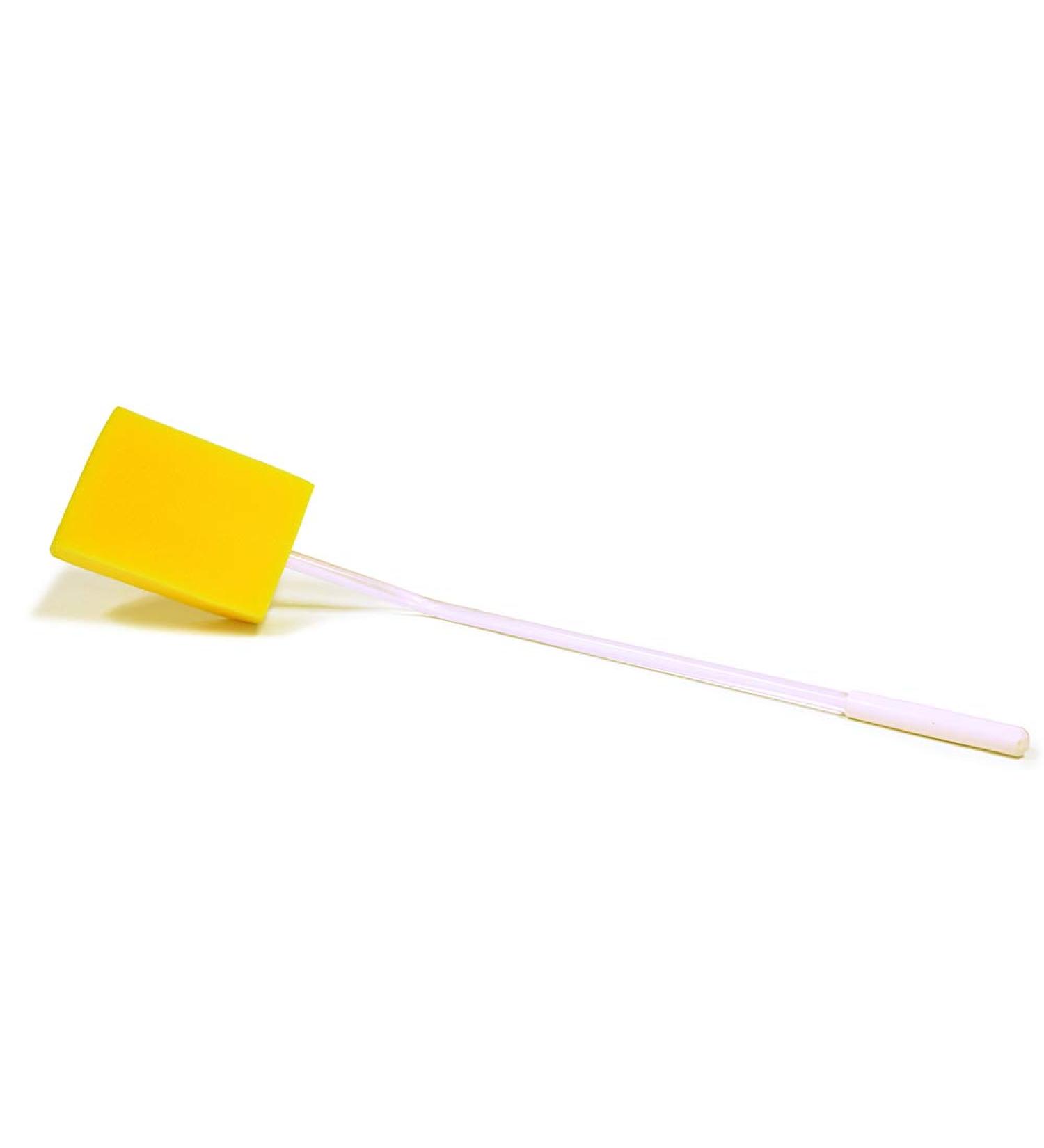 Bios Living Bath Brush 1 Count - Buy Online on GoSupps.com