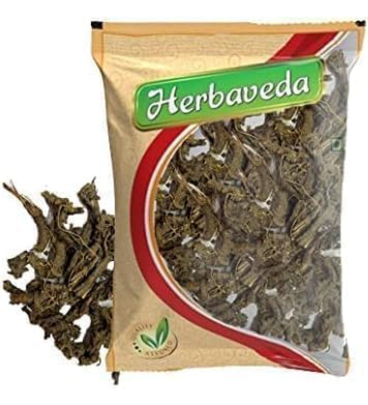 OSHA Root 200 GM Pack Of 1 - Buy Online on GoSupps.com