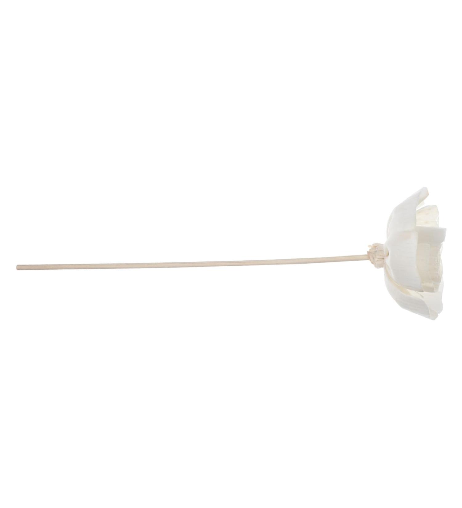 Buy Flower Arrangement Stickers & Aroma Diffusers for Car & Home | Floral Wedding Fragrance | Replaceable Aromatherapy Diffusers - Buy Online on GoSupps.com