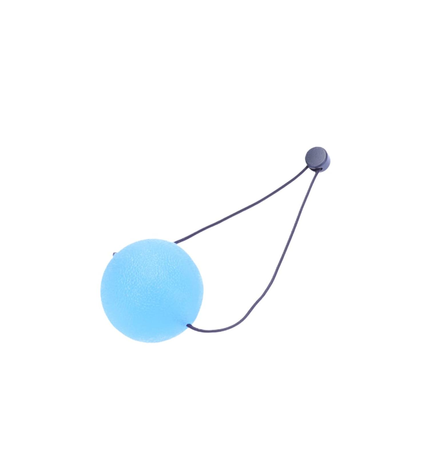 Buy Healvian 5.3cm Blue Handle Exercise Ball - Hand & Wrist Strengthening Device for Fitness Stress Relief & Grip Training - Buy Online on GoSupps.com