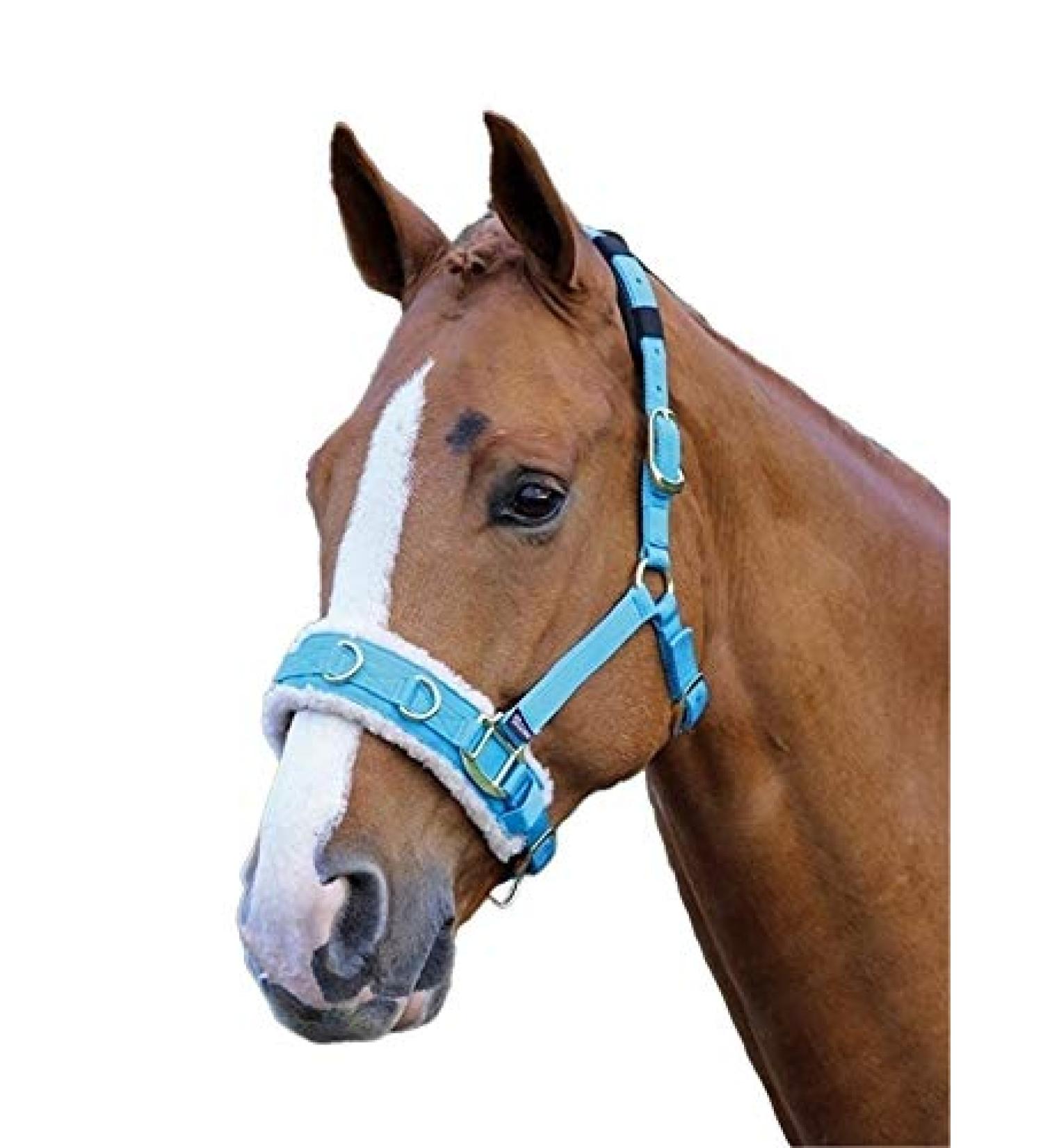 Shires Fleece Lined Lunge Cavesson Blue Full