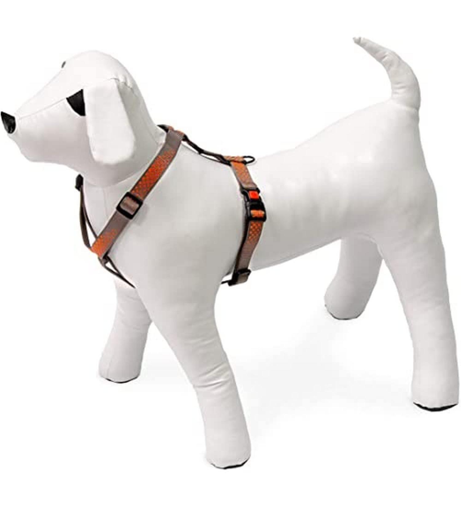 Buy Karlie Art Sportiv Plus Harness - 15mm Width 35-50cm Grey Dots - International Shipping Available - Buy Online on GoSupps.com