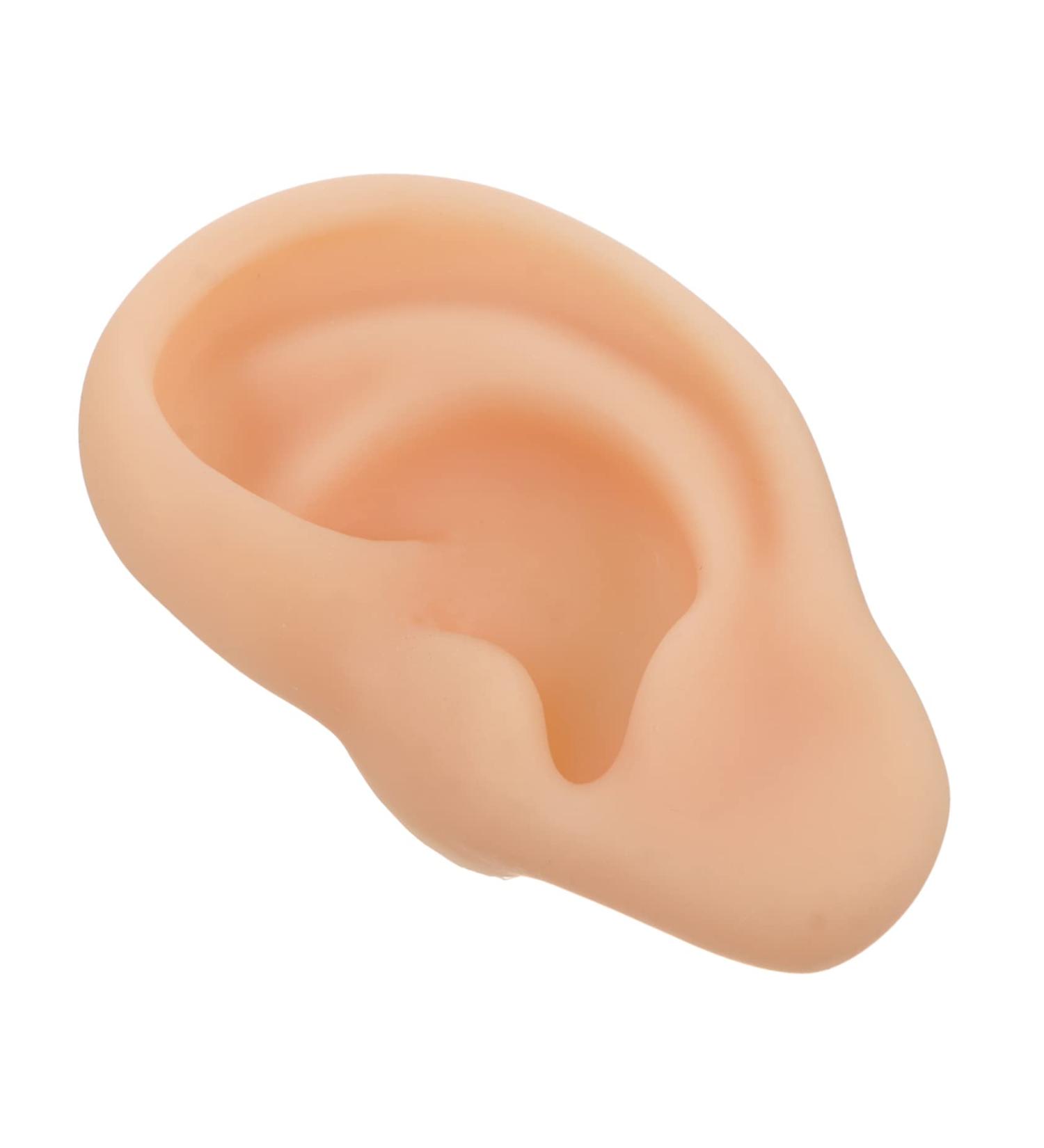 Silicone Ear Model - Specialty Tools for Ear Care - 3D Fake Human Ear Presentation Model - Buy Online on GoSupps.com