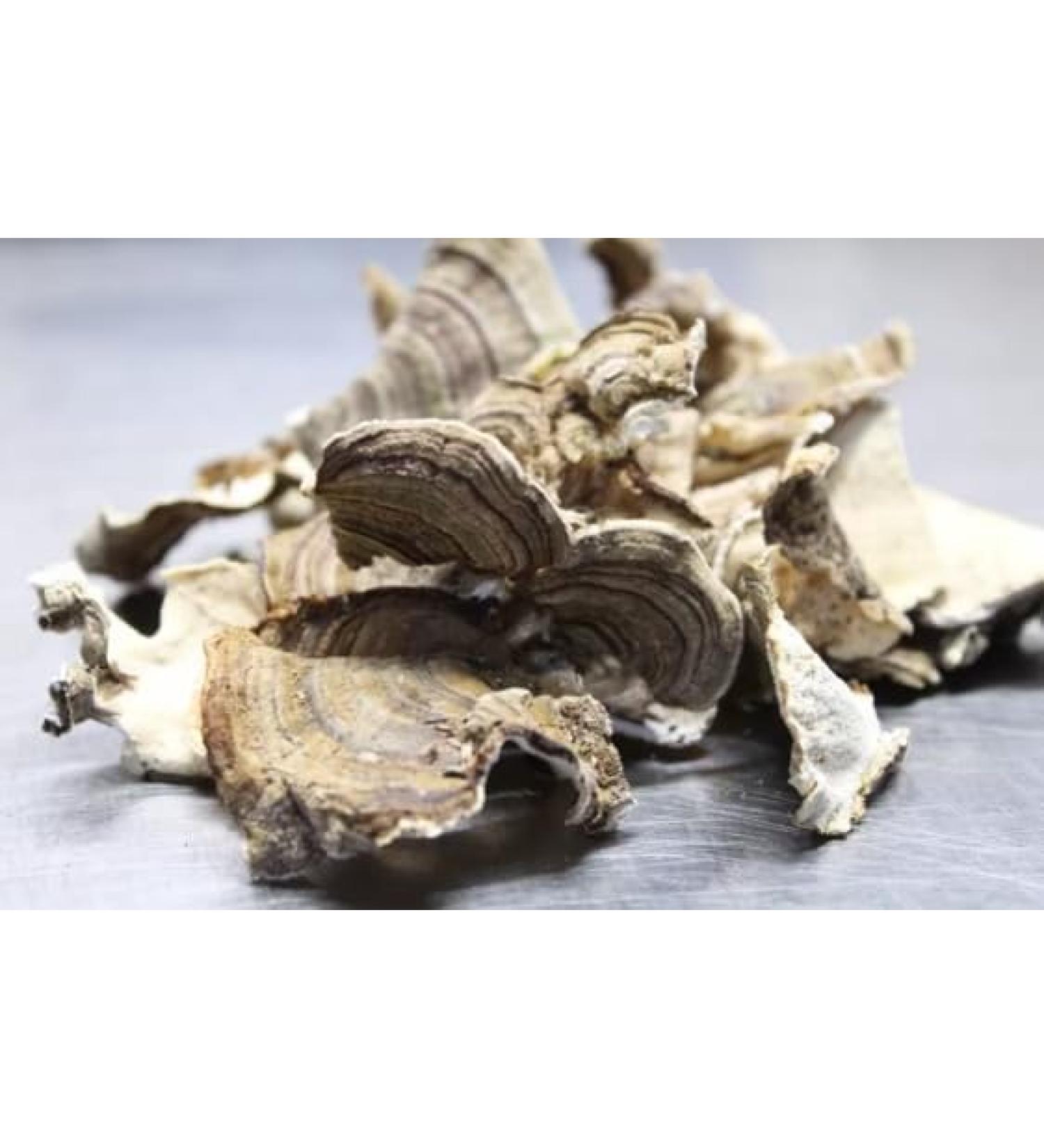 Dried USA Wild Turkey Tail Mushrooms (4 oz.) Wild Harvest Foods (Expiration 12/2026)