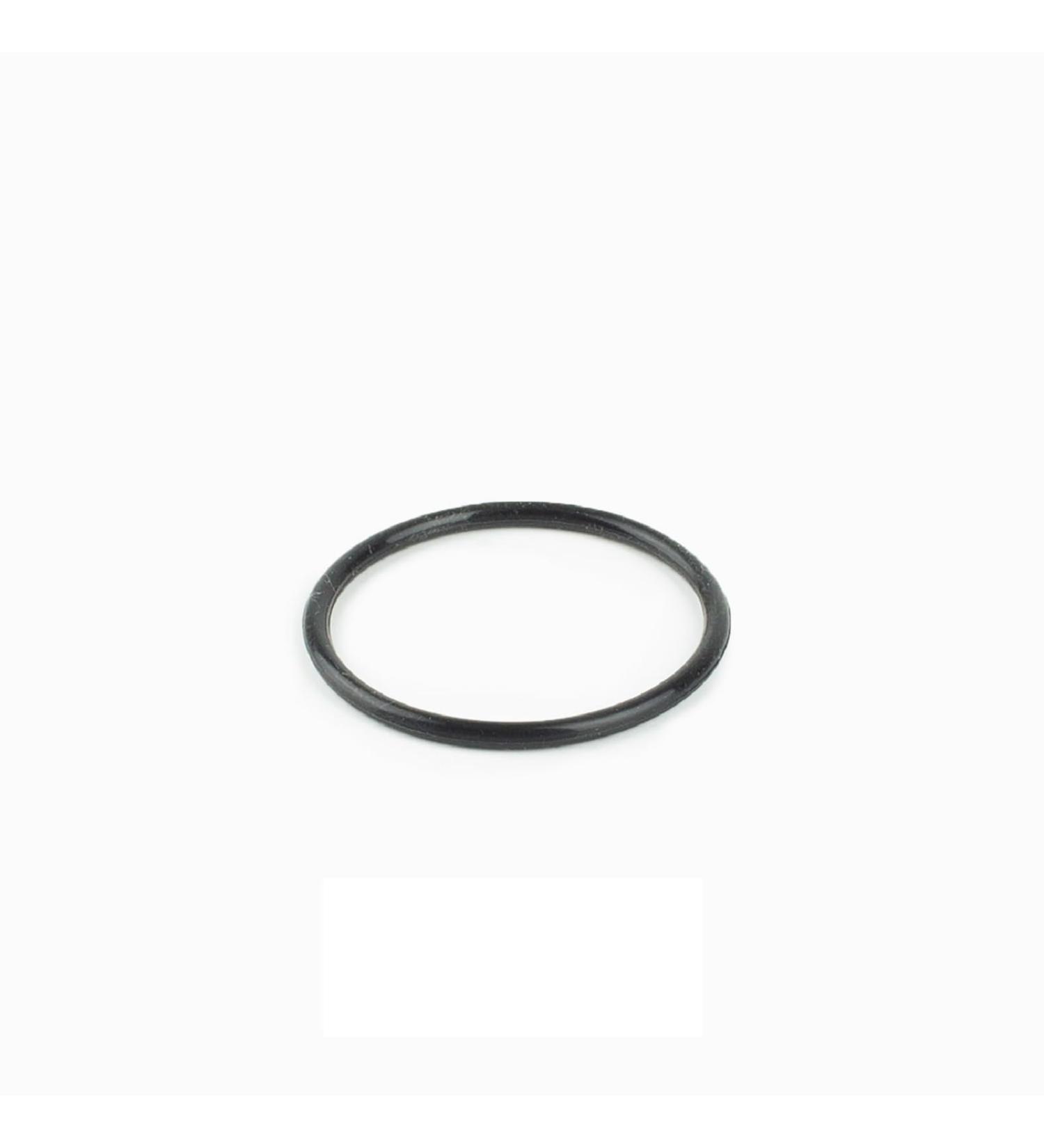 Blagdon Inpond LED Bulb O Ring - Replacement for Inpond 5-in-1 3000, 6000, and 6-in-1 9000 - Buy Online on GoSupps.com